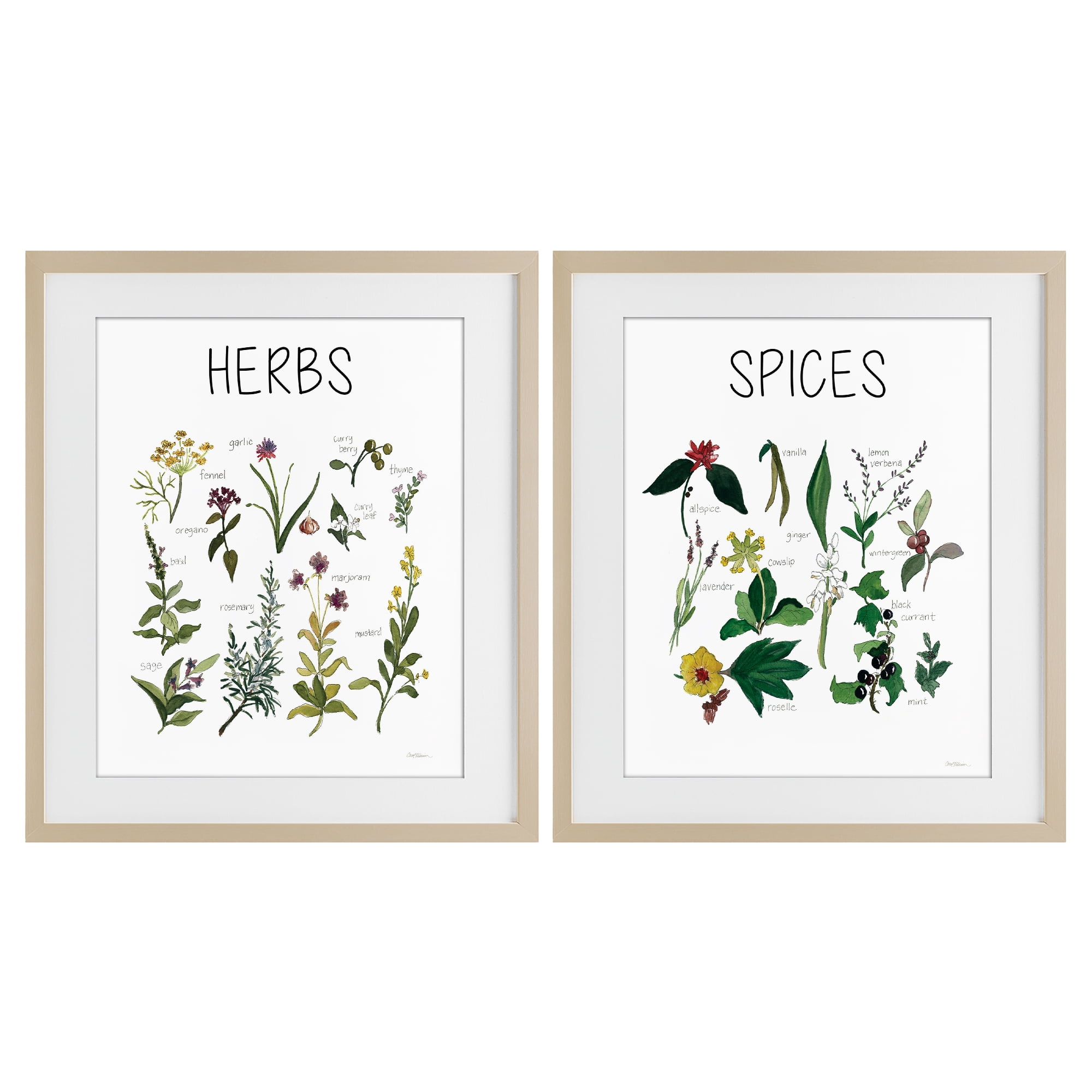 Stupell Industries Culinary Herbs & Spices 2 Piece Birch Framed Print Under Glass Set, design by Carol Robinson