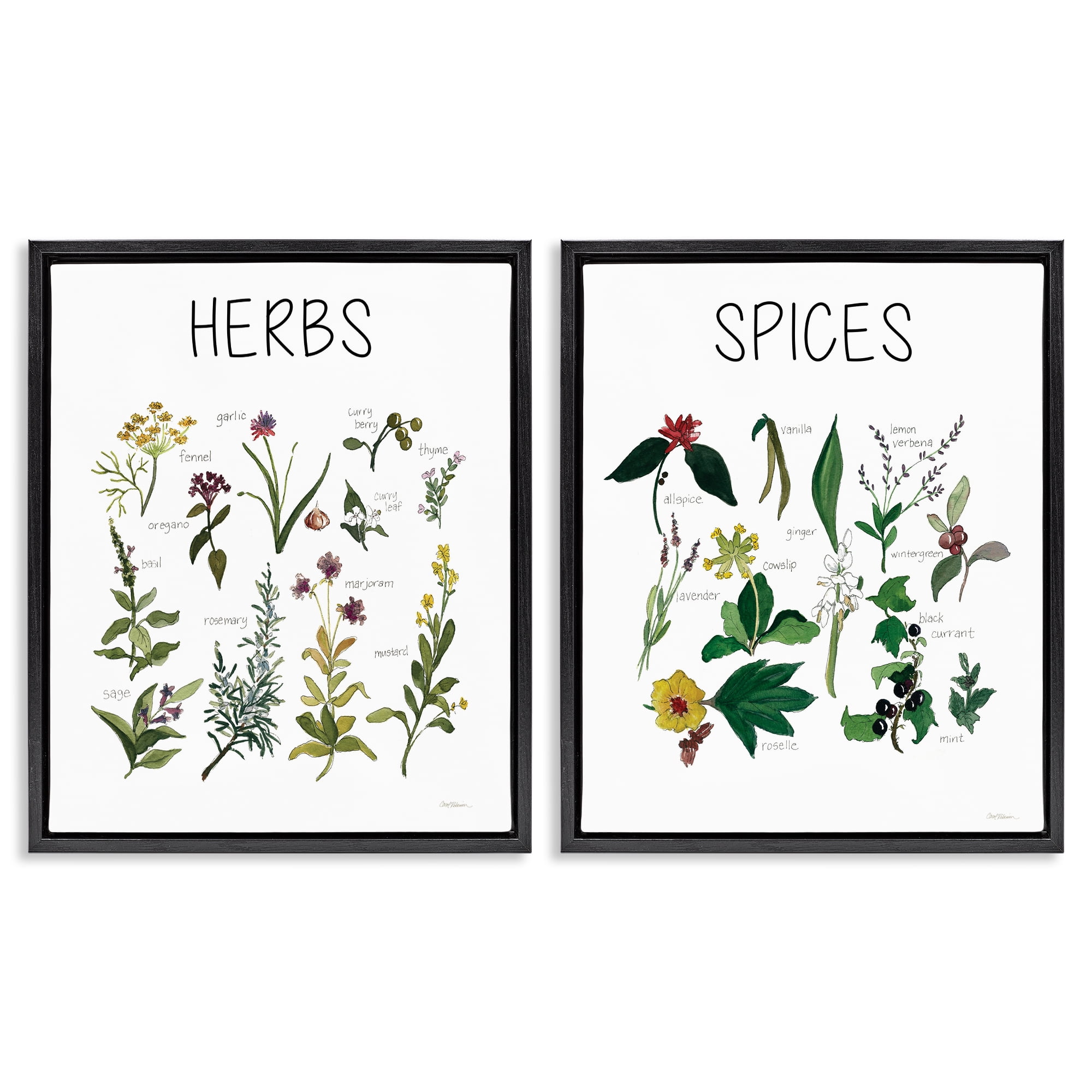 Stupell Industries Culinary Herbs & Spices 2 Piece Black Framed Floater Canvas Set, design by Carol Robinson