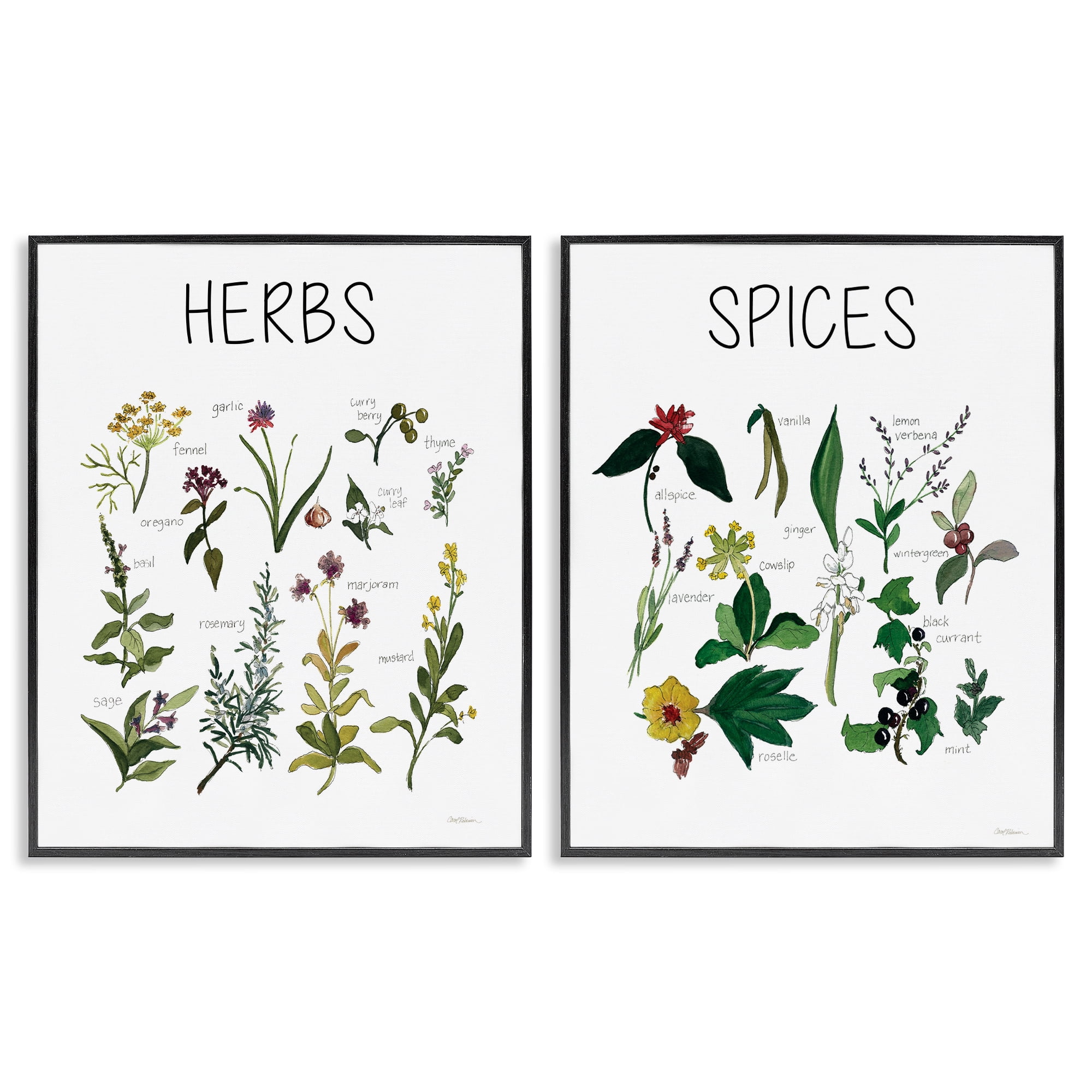Stupell Industries Culinary Herbs & Spices 2 Piece Black Framed Giclee Art Set, design by Carol Robinson
