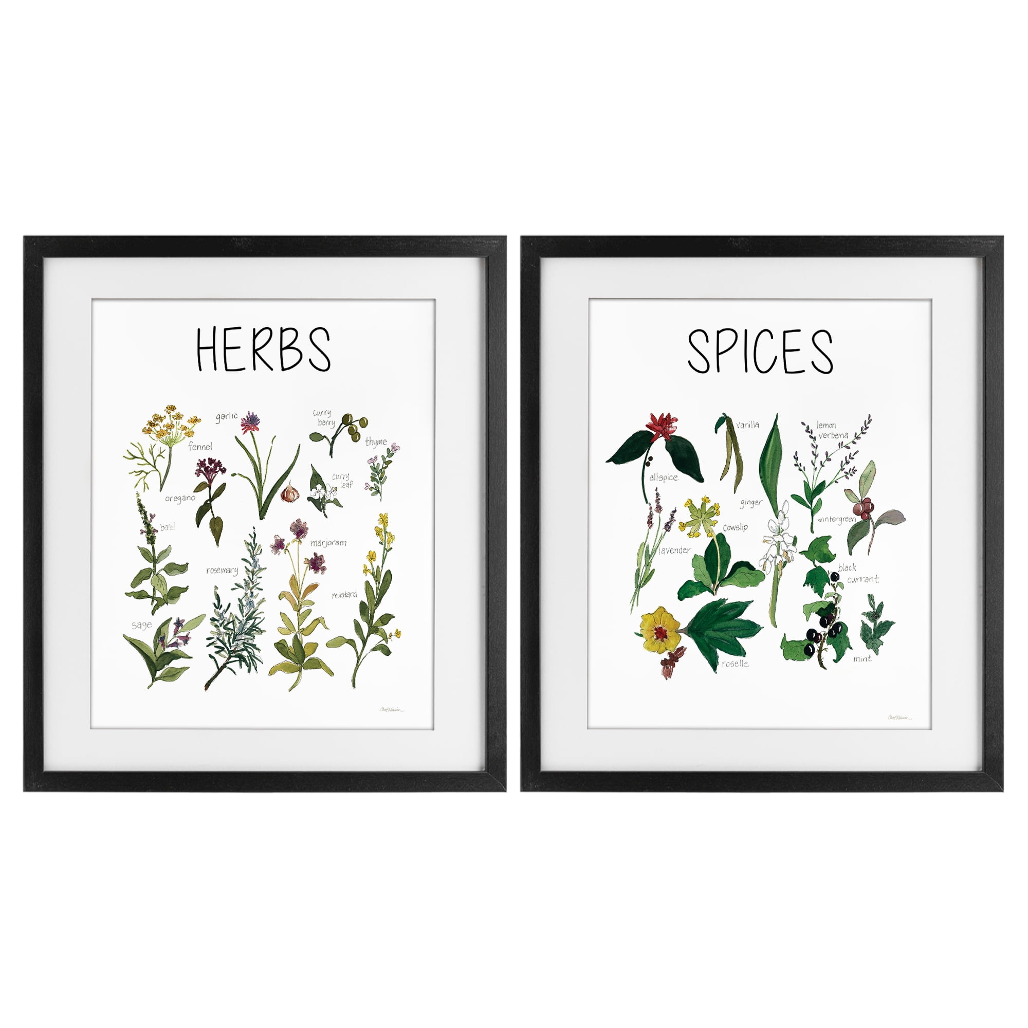 Stupell Industries Culinary Herbs & Spices 2 Piece Black Framed Print Under Glass Set, design by Carol Robinson