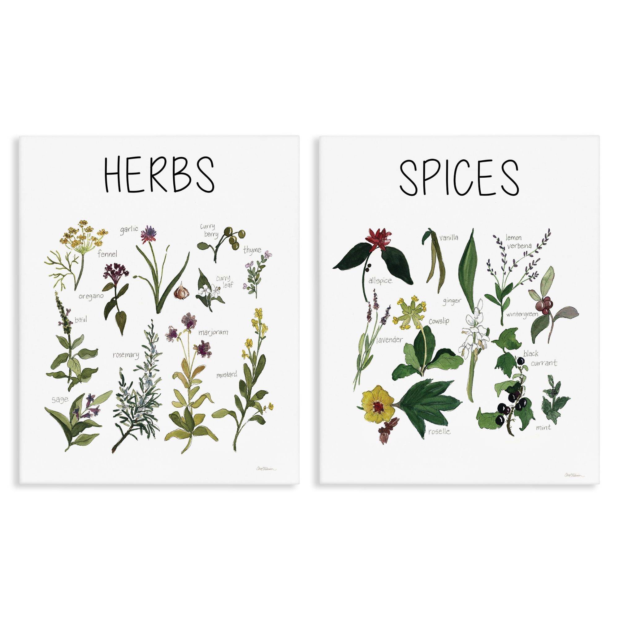 Stupell Industries Culinary Herbs & Spices 2 Piece Canvas Wall Art Set, design by Carol Robinson