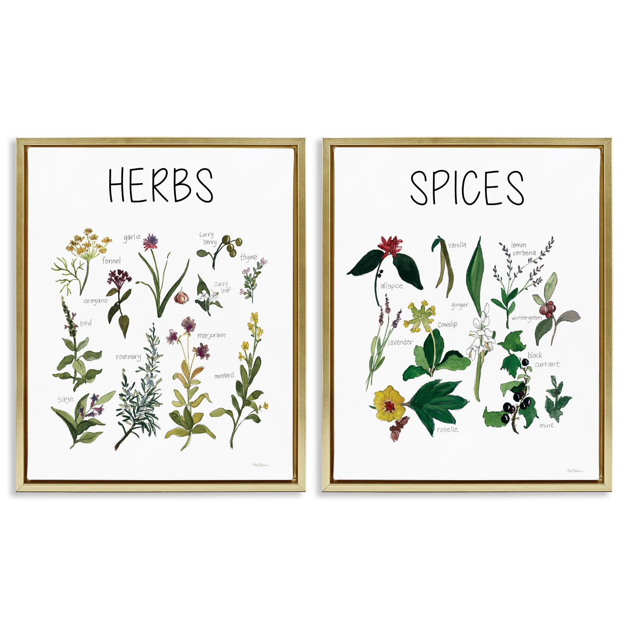 Stupell Industries Culinary Herbs & Spices 2 Piece Gold Framed Floater Canvas Set, design by Carol Robinson