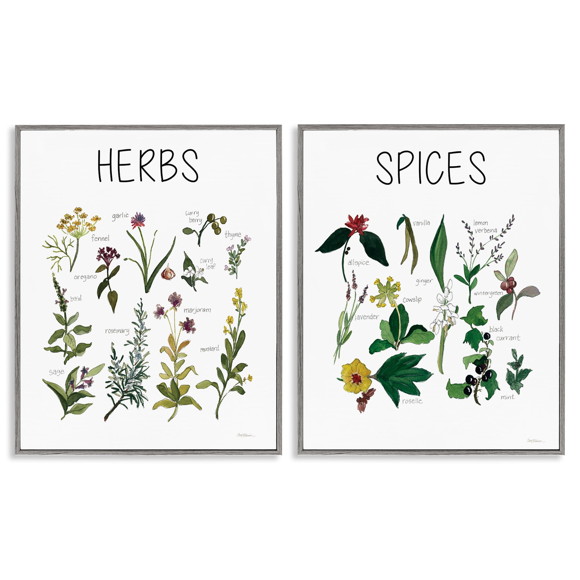 Stupell Industries Culinary Herbs & Spices 2 Piece Gray Framed Giclee Art Set, design by Carol Robinson