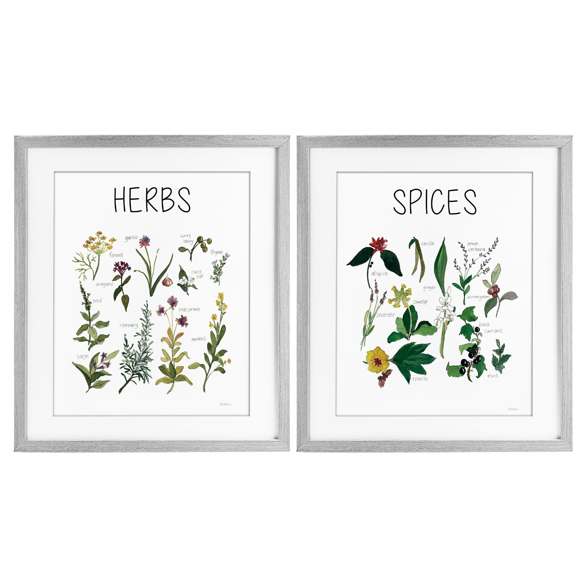 Stupell Industries Culinary Herbs & Spices 2 Piece Gray Framed Print Under Glass Set, design by Carol Robinson