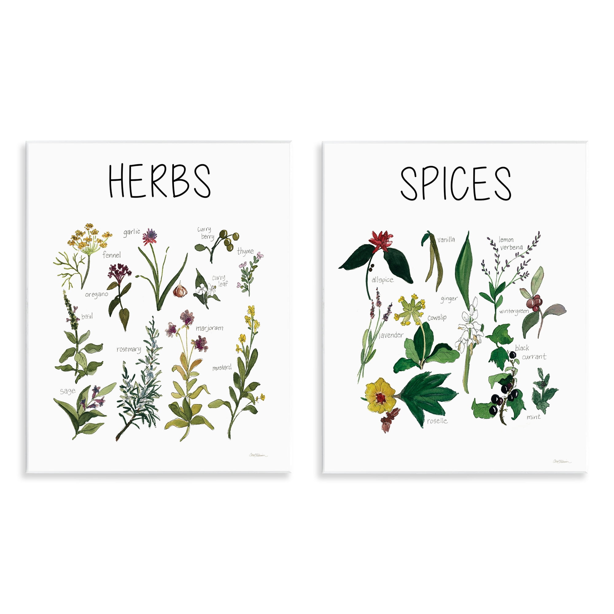 Stupell Industries Culinary Herbs & Spices 2 Piece Wall Plaque Art Set, design by Carol Robinson