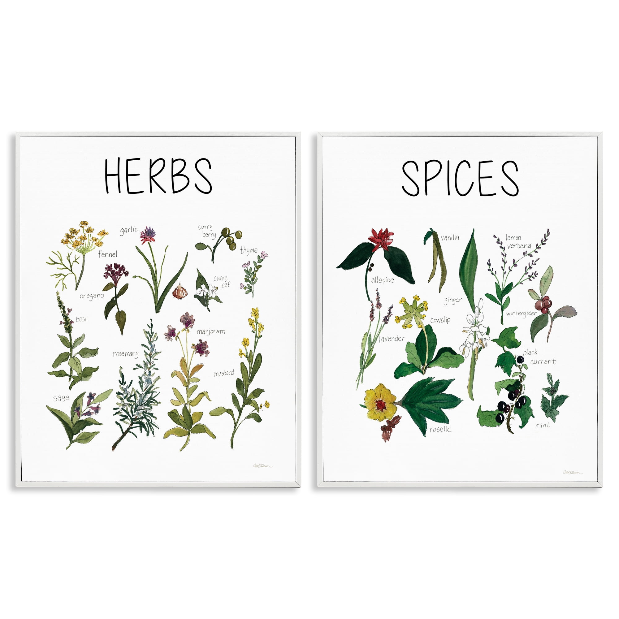 Stupell Industries Culinary Herbs & Spices 2 Piece White Framed Giclee Art Set, design by Carol Robinson