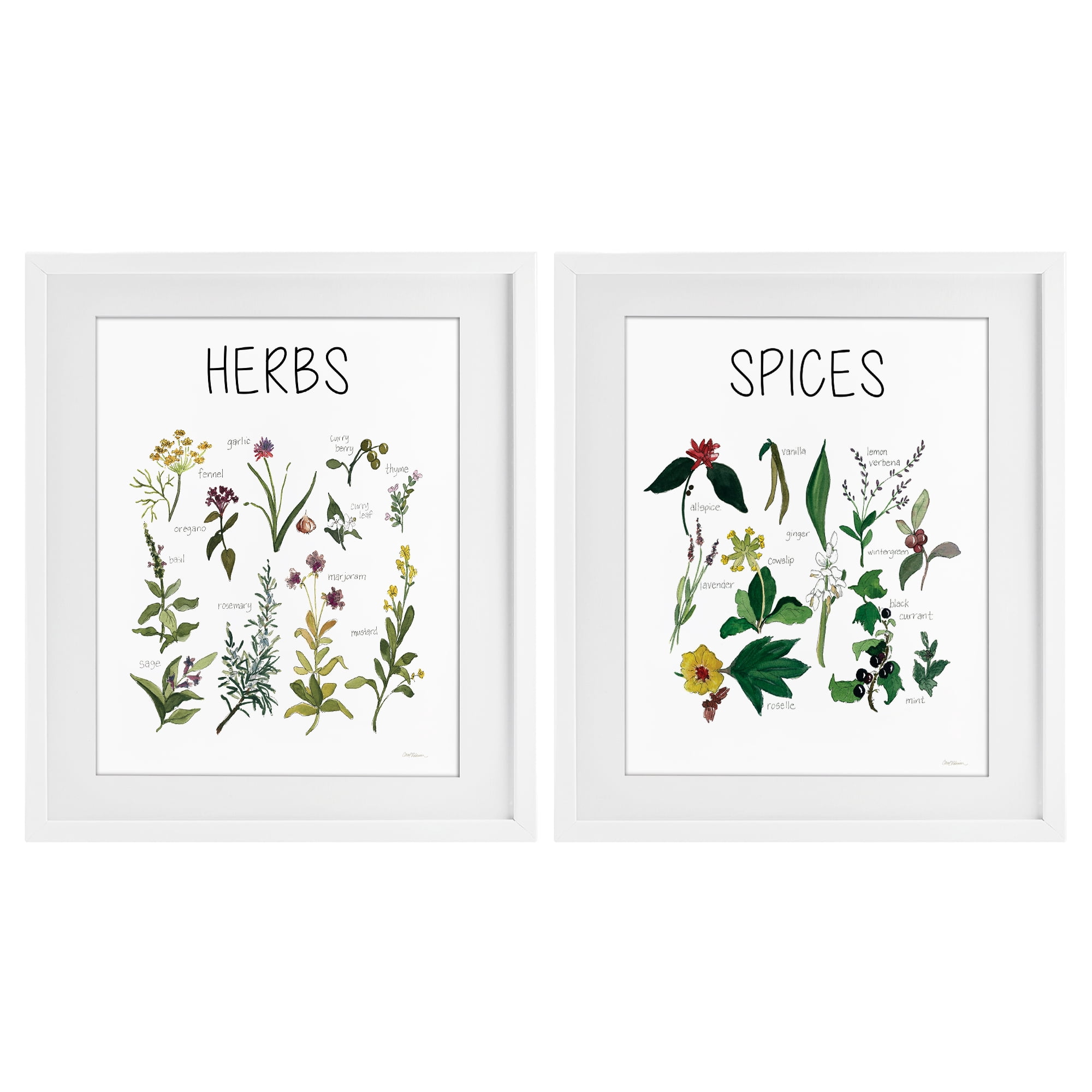 Stupell Industries Culinary Herbs & Spices 2 Piece White Framed Print Under Glass Set, design by Carol Robinson