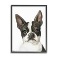 thumbnail image 1 of Stupell Industries Curious Boston Terrier Portrait Pet Dog Watercolor Black Framed, 16 x 20, Design by George Dyachenko, 1 of 1