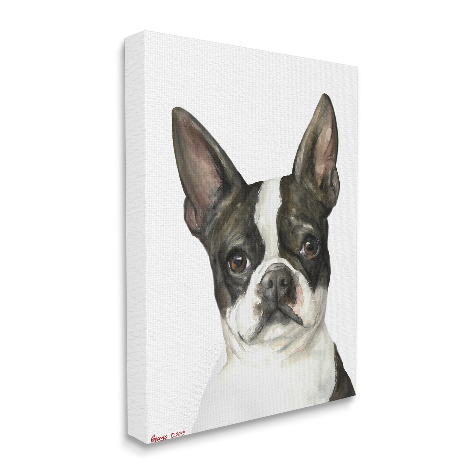 Stupell Industries Curious Boston Terrier Portrait Pet Dog Watercolor Canvas Wall Art, 36 x 48, Design by George Dyachenko