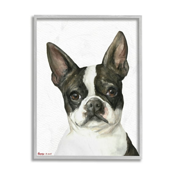 Stupell Industries Curious Boston Terrier Portrait Pet Dog Watercolor Grey Framed, 11 x 14, Design by George Dyachenko
