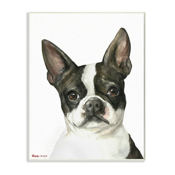 Stupell Industries Curious Boston Terrier Portrait Pet Dog Watercolor Wall Plaque, 13 x 19, Design by George Dyachenko