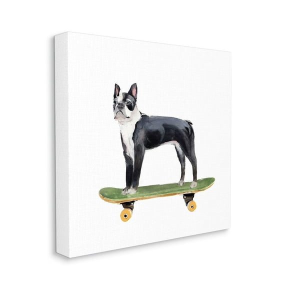 Stupell Industries Curious Boston Terroir Pet Dog on Green Skateboard,24 x 24,Designed by Annie Warren