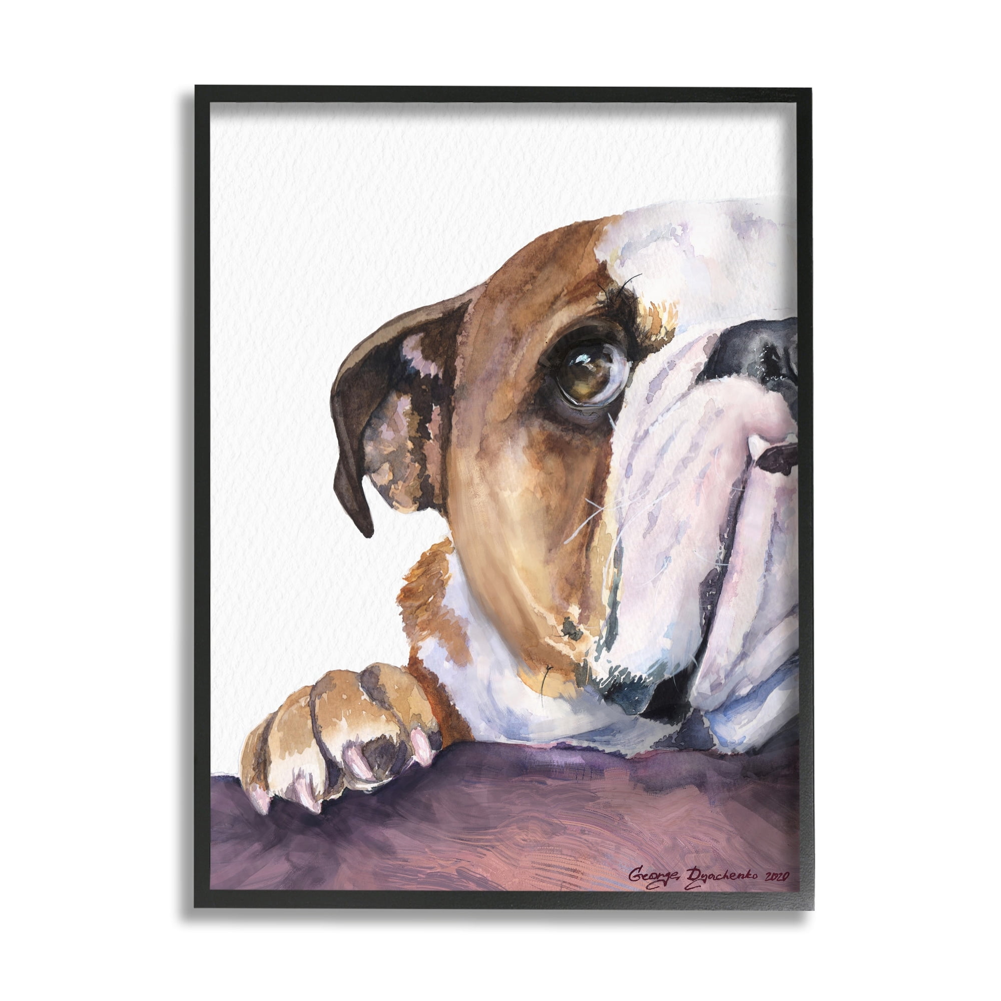 Stupell Industries Curious English Bulldog Gaze Pet Dog Portrait Black Framed, 16 x 20, Design by George Dyachenko