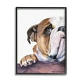 thumbnail image 1 of Stupell Industries Curious English Bulldog Gaze Pet Dog Portrait Black Framed, 16 x 20, Design by George Dyachenko, 1 of 5