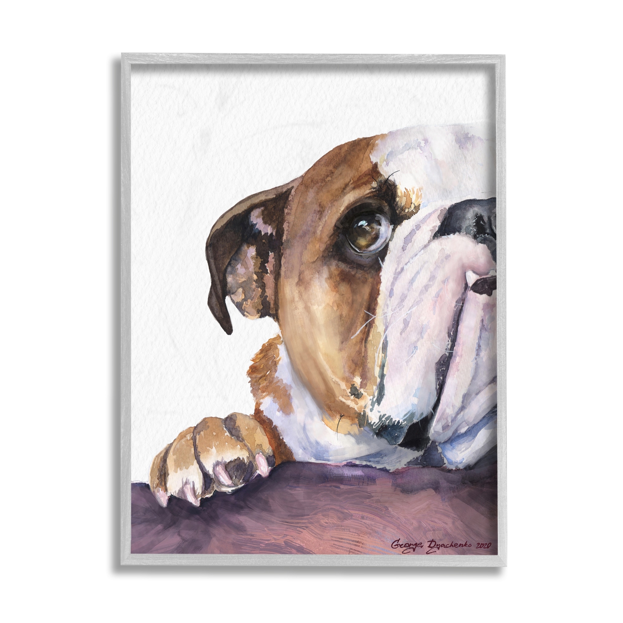 Stupell Industries Curious English Bulldog Gaze Pet Dog Portrait Grey Framed, 16 x 20, Design by George Dyachenko