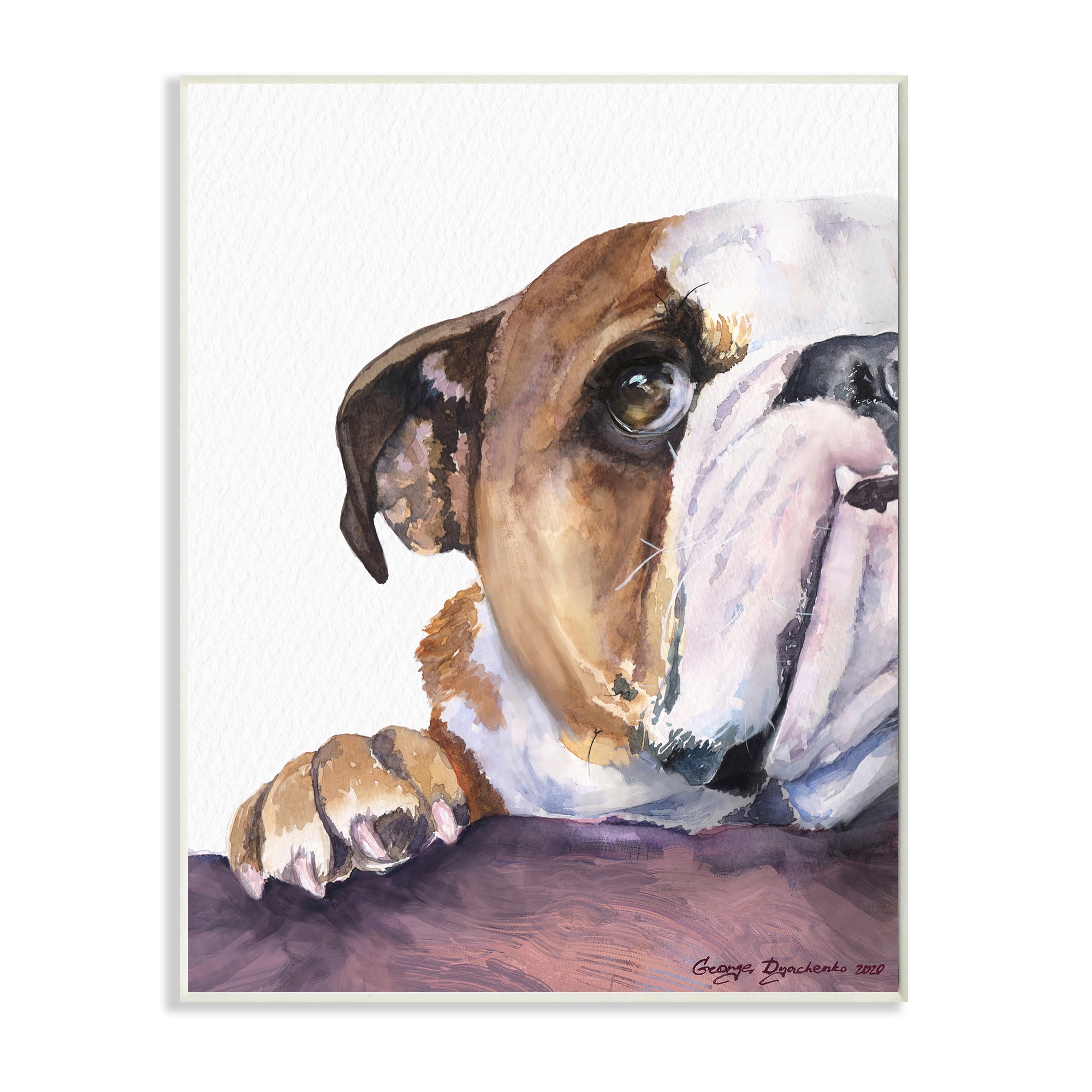 Stupell Industries Curious English Bulldog Gaze Pet Dog Portrait Wall Plaque, 10 x 15, Design by George Dyachenko