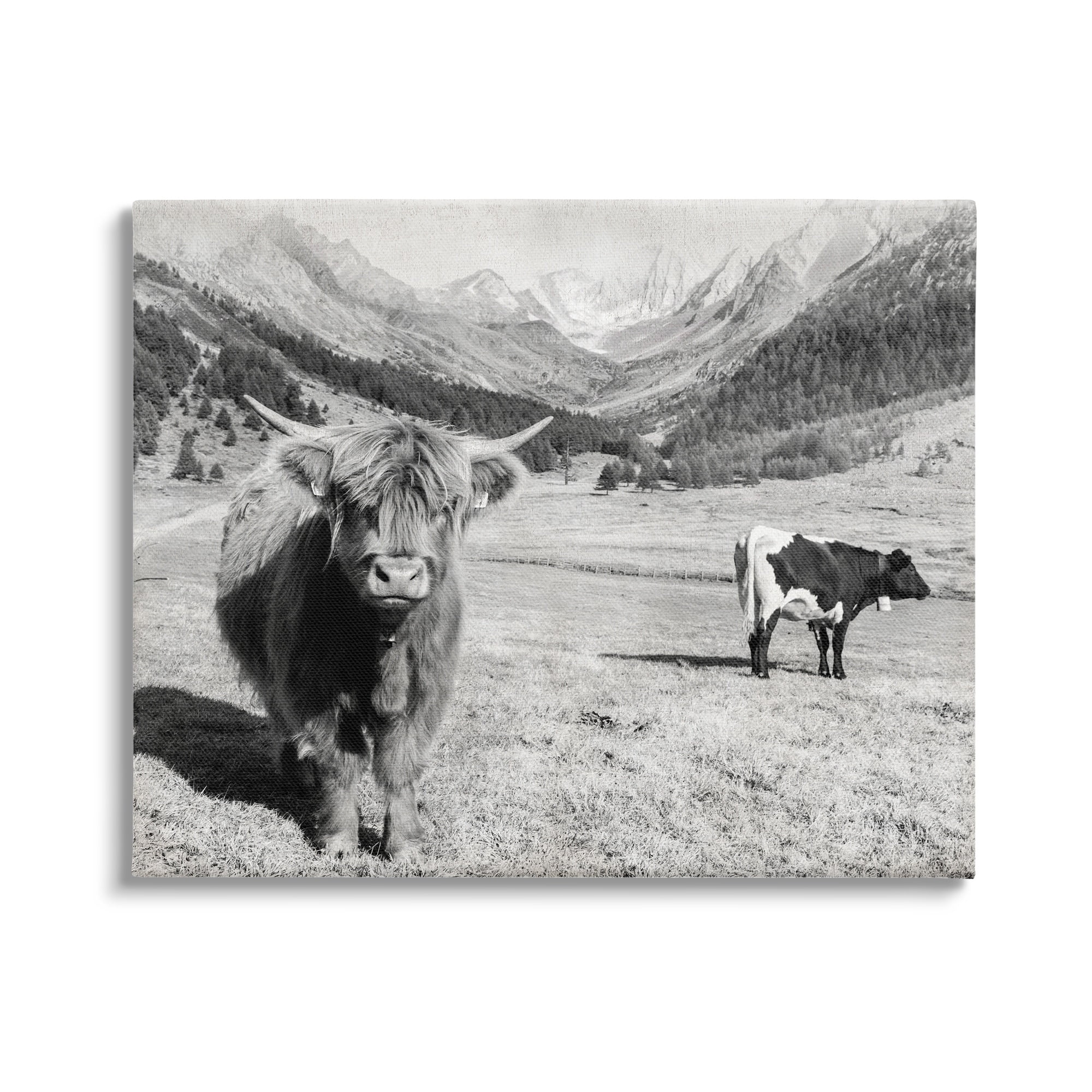 Stupell Industries Curious Ox Clueless Cow Sublime Farm Plains,30 x 24, Design by Danita Delimont