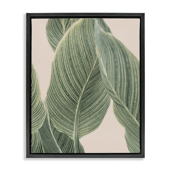 Stupell Industries Curled Green Leaves Plants & Flowers Painting Black Floater Framed Canvas Art Print Wall Art, 17 x 21