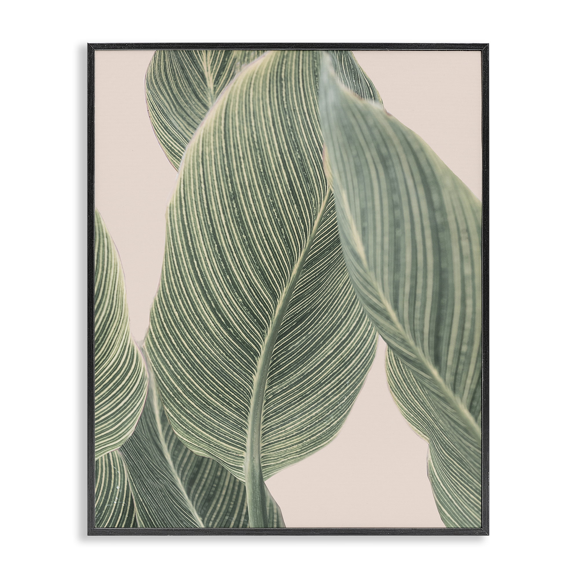 Stupell Industries Curled Green Leaves Plants & Flowers Painting Black Framed Art Print Wall Art, 16 x 20