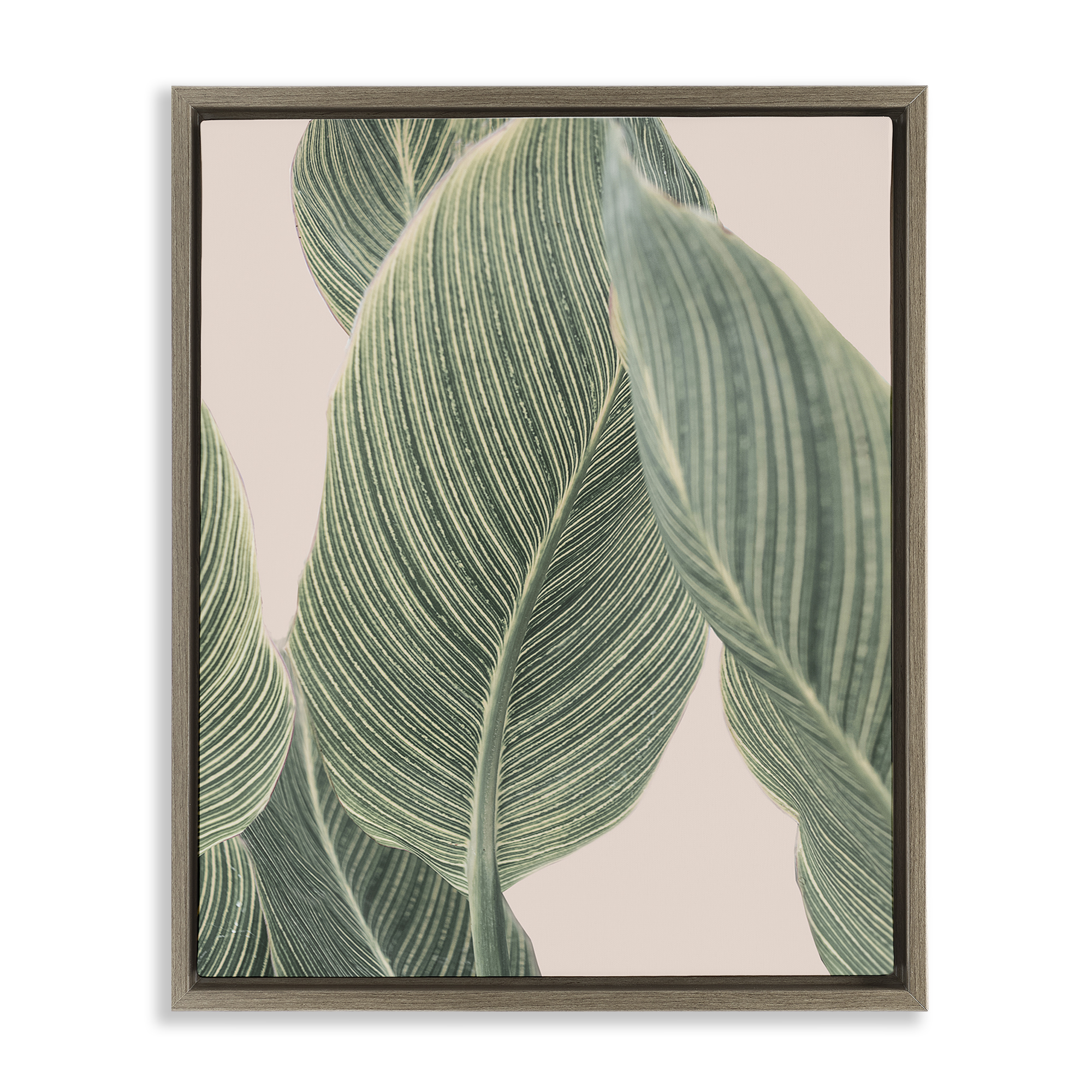 Stupell Industries Curled Green Leaves Plants & Flowers Painting Brown Floater Framed Canvas Art Print Wall Art, 25 x 31