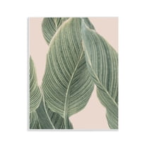 Stupell Industries Curled Green Leaves Plants & Flowers Painting Unframed Art Print Wall Art, 11 x 14