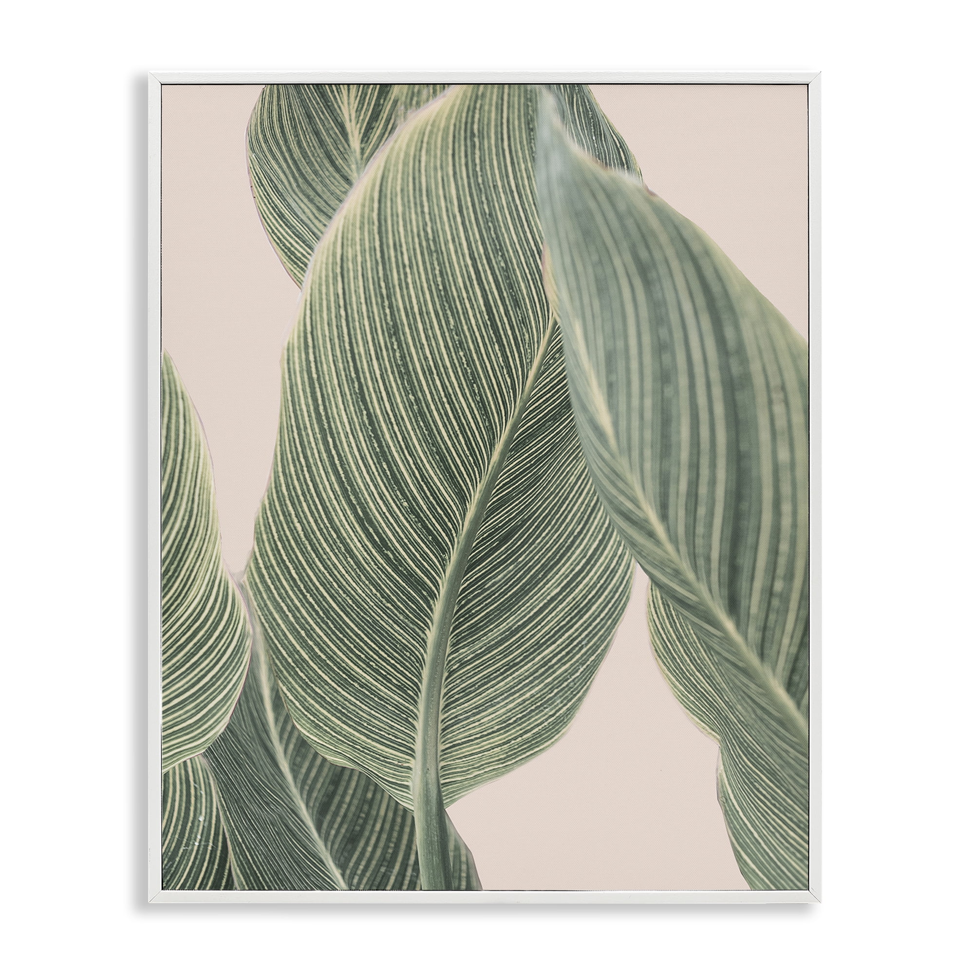 Stupell Industries Curled Green Leaves Plants & Flowers Painting White Framed Art Print Wall Art, 11 x 14