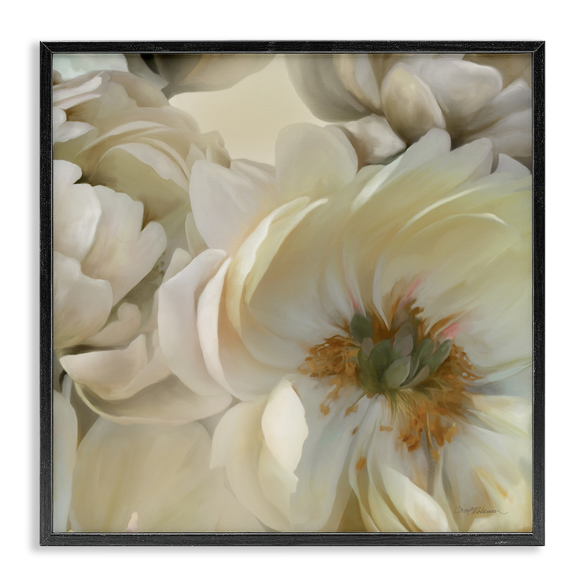 Stupell Industries Curled Magnolia Petals Plants & Flowers Photography Black Framed Art Print Wall Art, 17 x 17