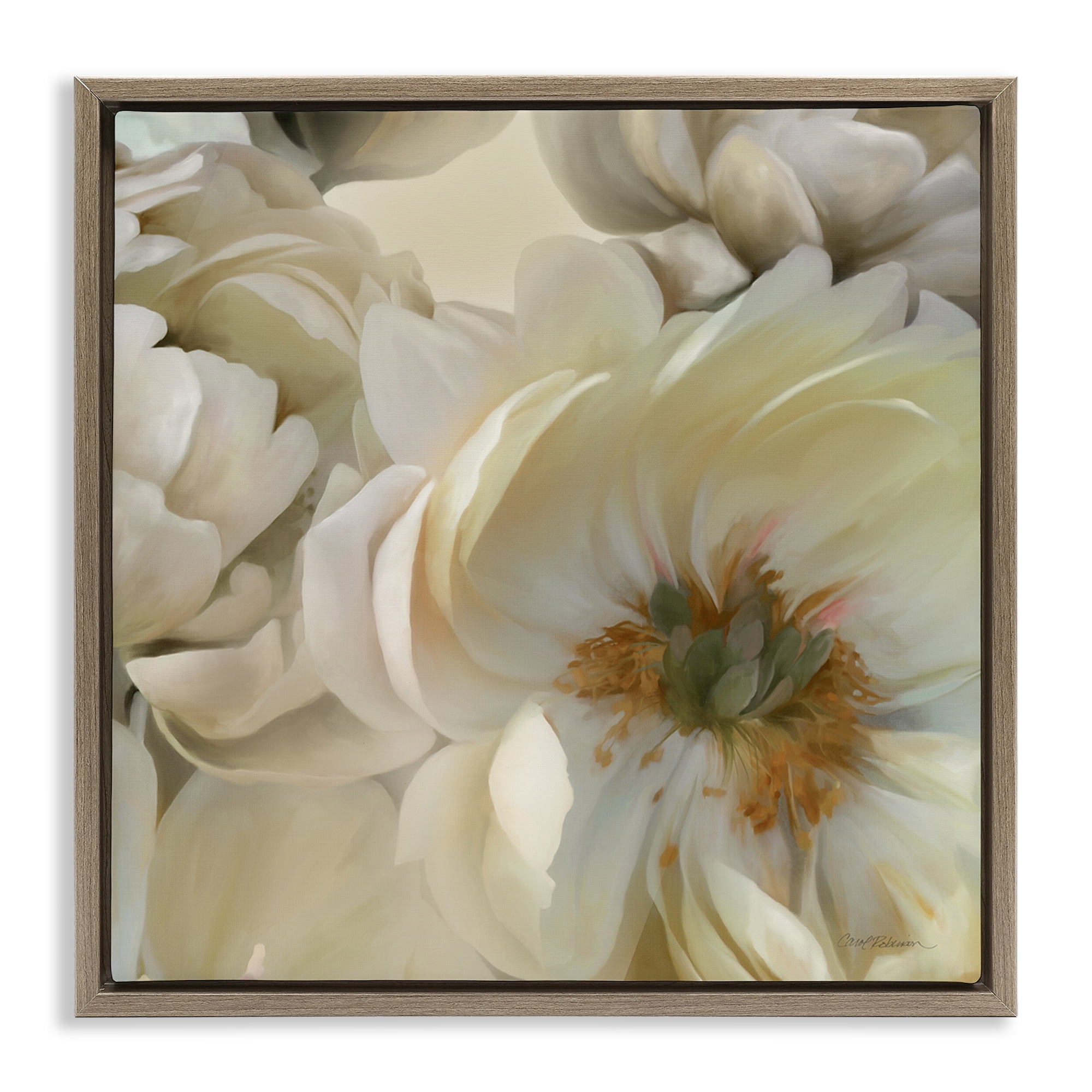 Stupell Industries Curled Magnolia Petals Plants & Flowers Photography Brown Floater Framed Canvas Art Print Wall Art, 18 x 18