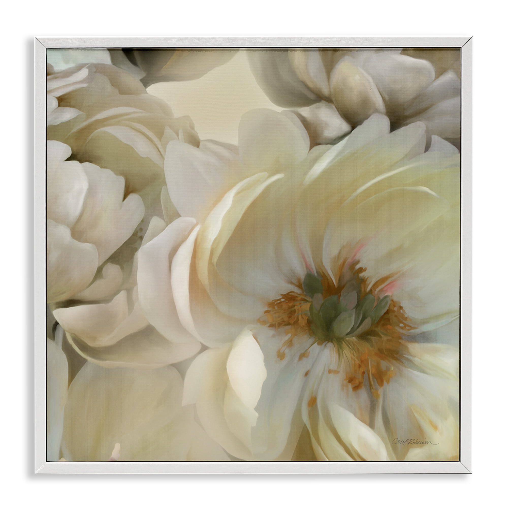 Stupell Industries Curled Magnolia Petals Plants & Flowers Photography White Framed Art Print Wall Art, 24 x 24
