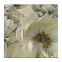 Stupell Industries Curled Magnolia Petals Plants & Flowers Photography Wrapped Canvas Art Print Wall Art, 17 x 17