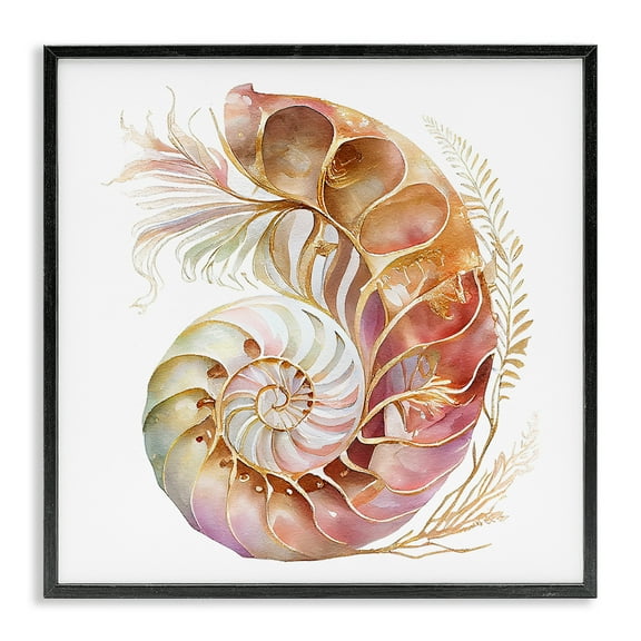Stupell Industries Curled Nautilus Pattern Nautical & Beach Painting Black Framed Art Print Wall Art, 12 x 12