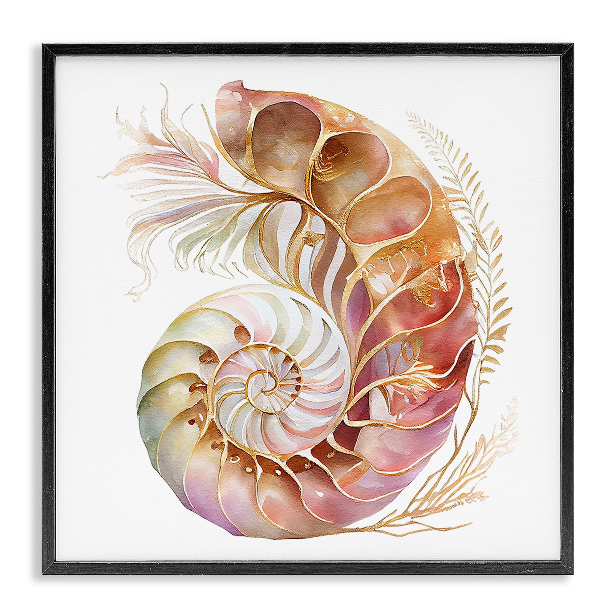 Stupell Industries Curled Nautilus Pattern Nautical & Beach Painting Black Framed Art Print Wall Art, 17 x 17