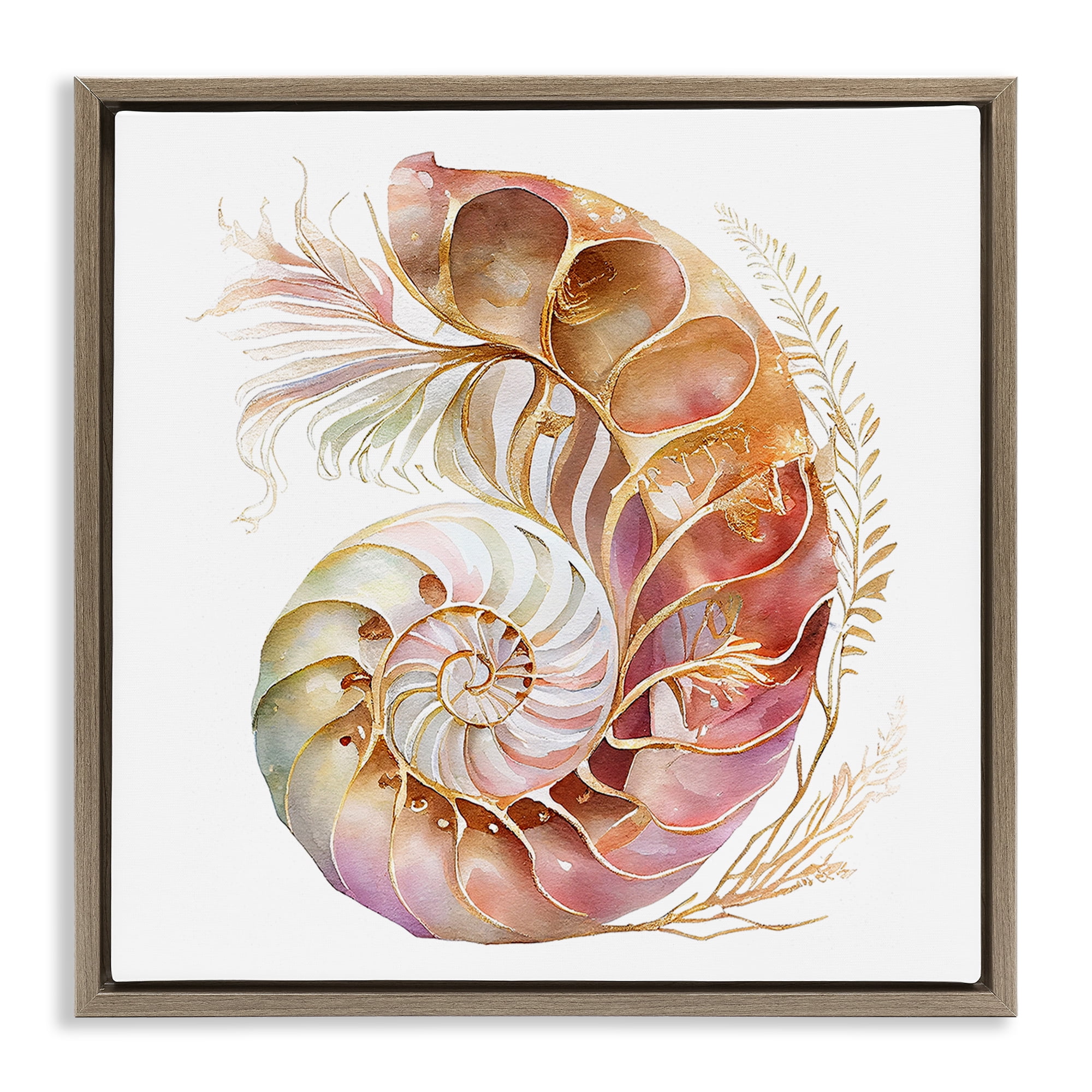 Stupell Industries Curled Nautilus Pattern Nautical & Beach Painting Brown Floater Framed Canvas Art Print Wall Art, 25 x 25