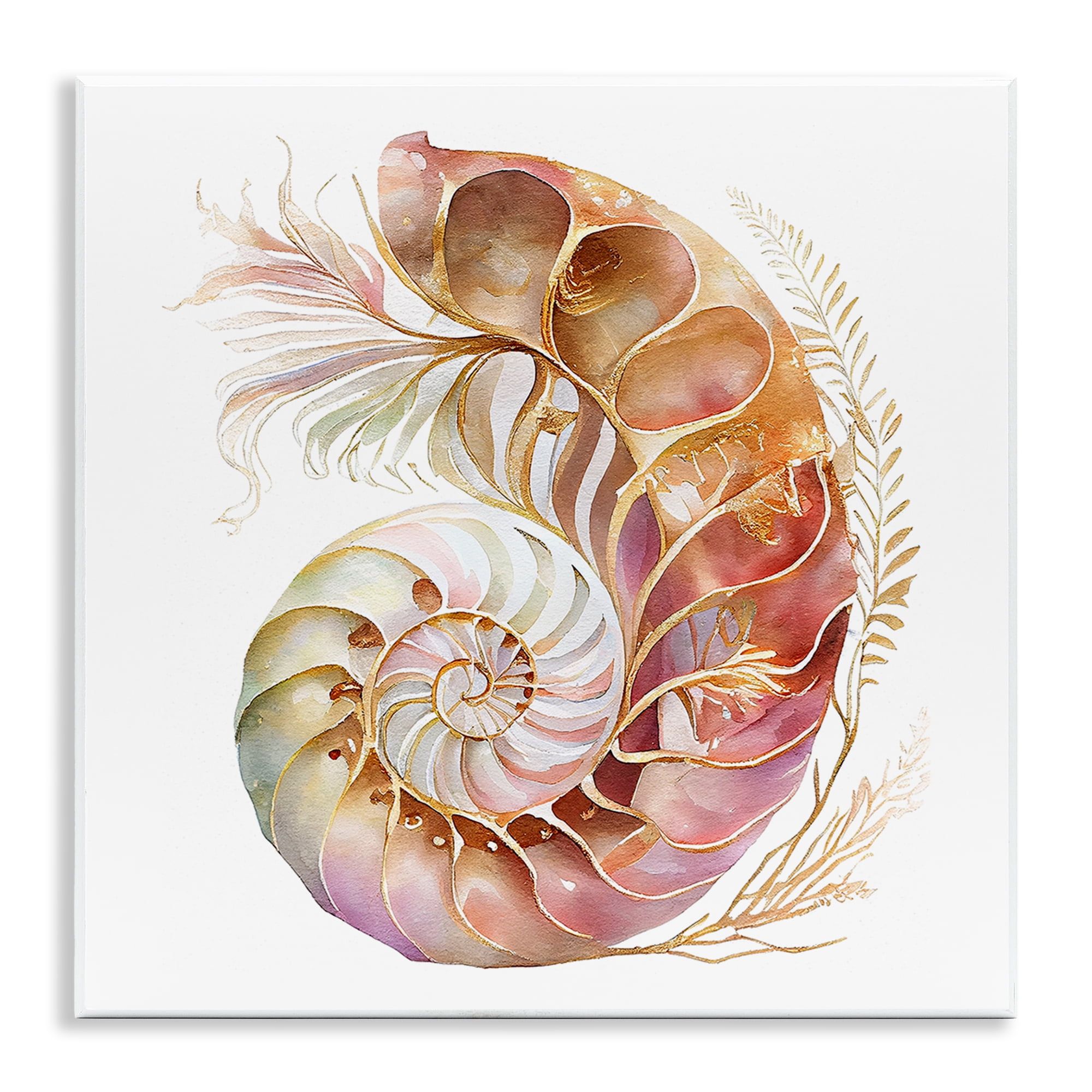 Stupell Industries Curled Nautilus Pattern Nautical & Beach Painting Unframed Art Print Wall Art, 12 x 12