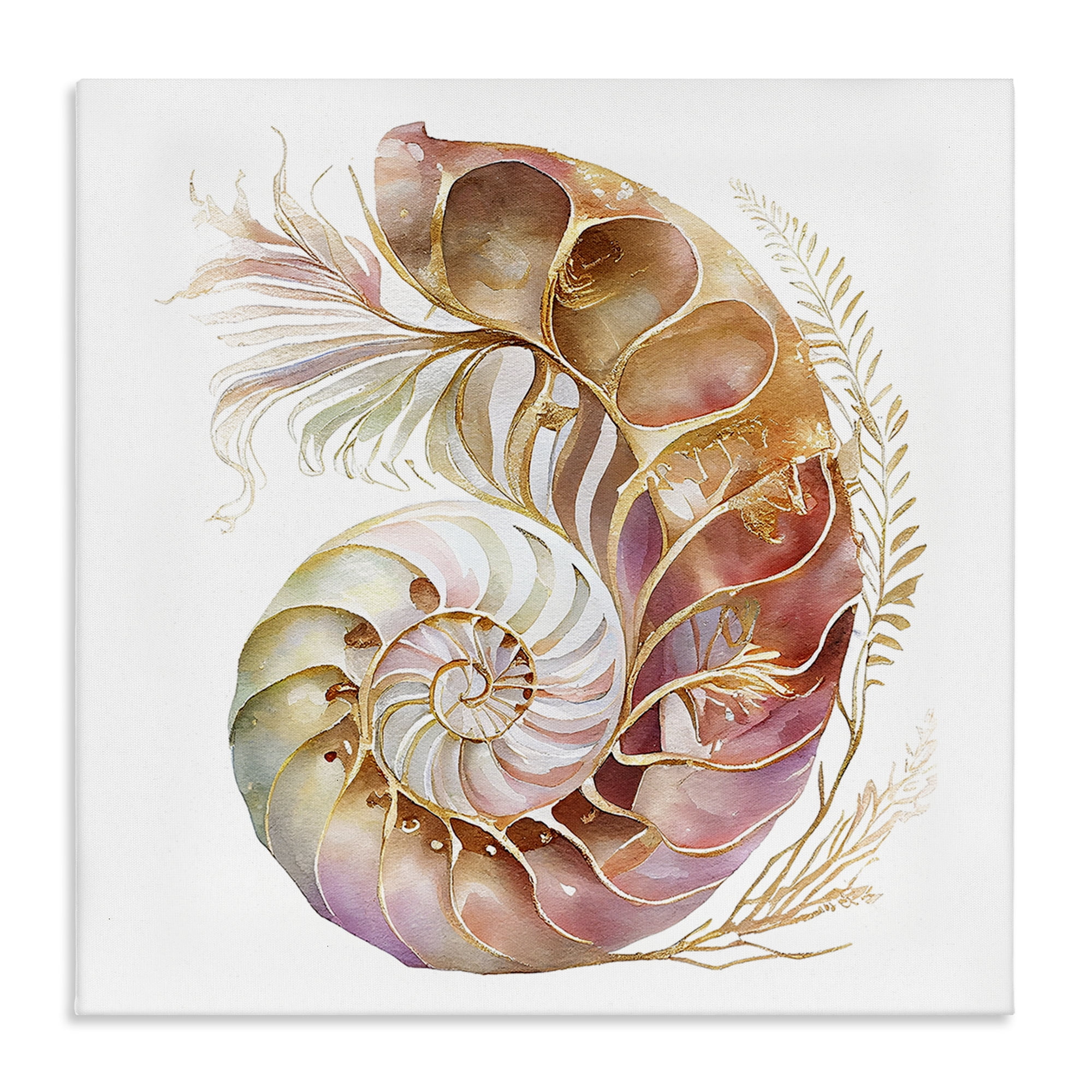 Stupell Industries Curled Nautilus Pattern Nautical & Beach Painting Wrapped Canvas Art Print Wall Art, 30 x 30