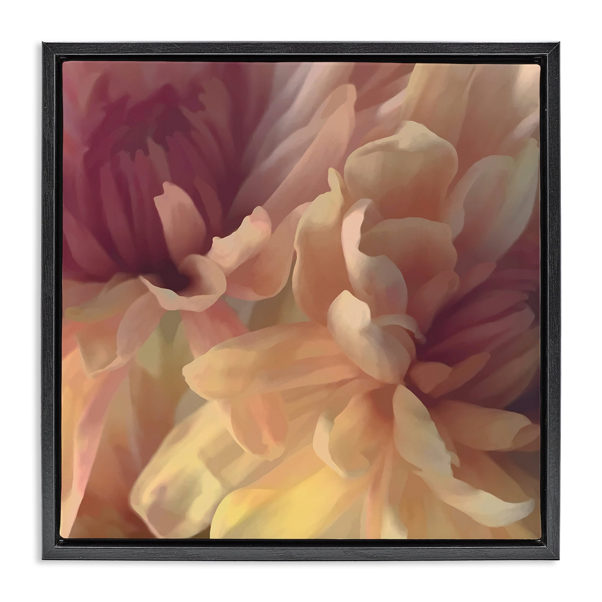 Stupell Industries Curling Dahlia Petals Botanical & Floral Painting Black Floater Framed Art Print Wall Art, 25 x 25