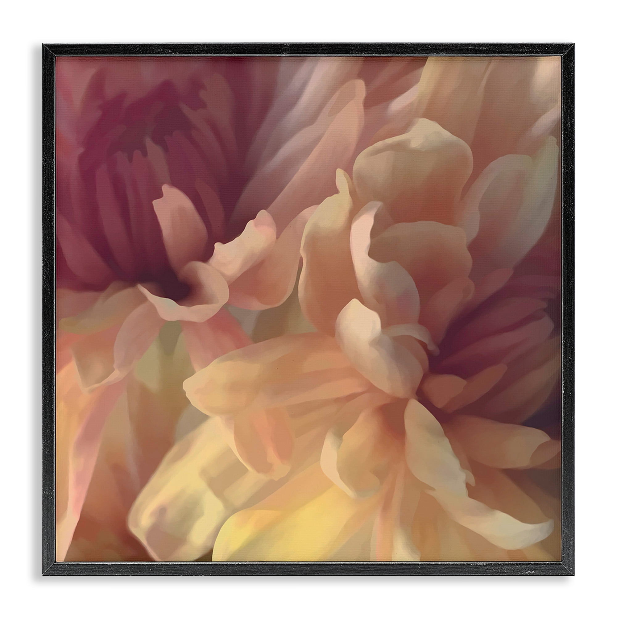 Stupell Industries Curling Dahlia Petals Botanical & Floral Painting Black Framed Art Print Wall Art, 24 x 24