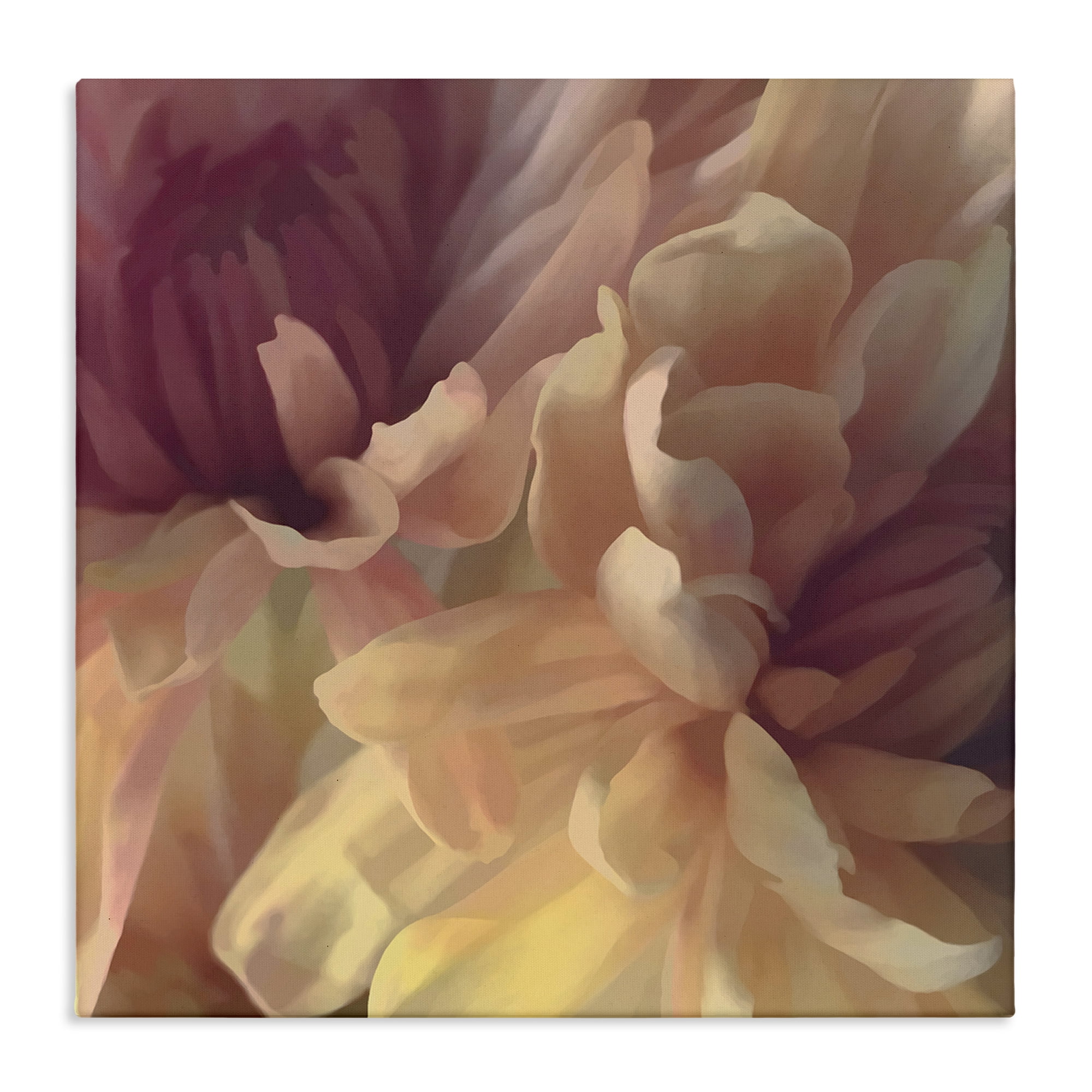 Stupell Industries Curling Dahlia Petals Botanical & Floral Painting Gallery Wrapped Canvas Art Print Wall Art, 24 x 24