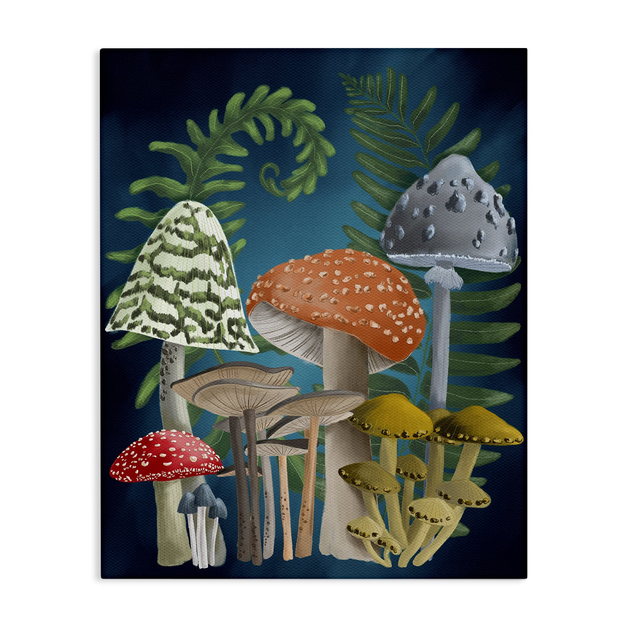 Stupell Industries Curling Ferns & Mushrooms Botanical & Floral Painting Gallery Wrapped Canvas Art Print Wall Art, 24 x 30