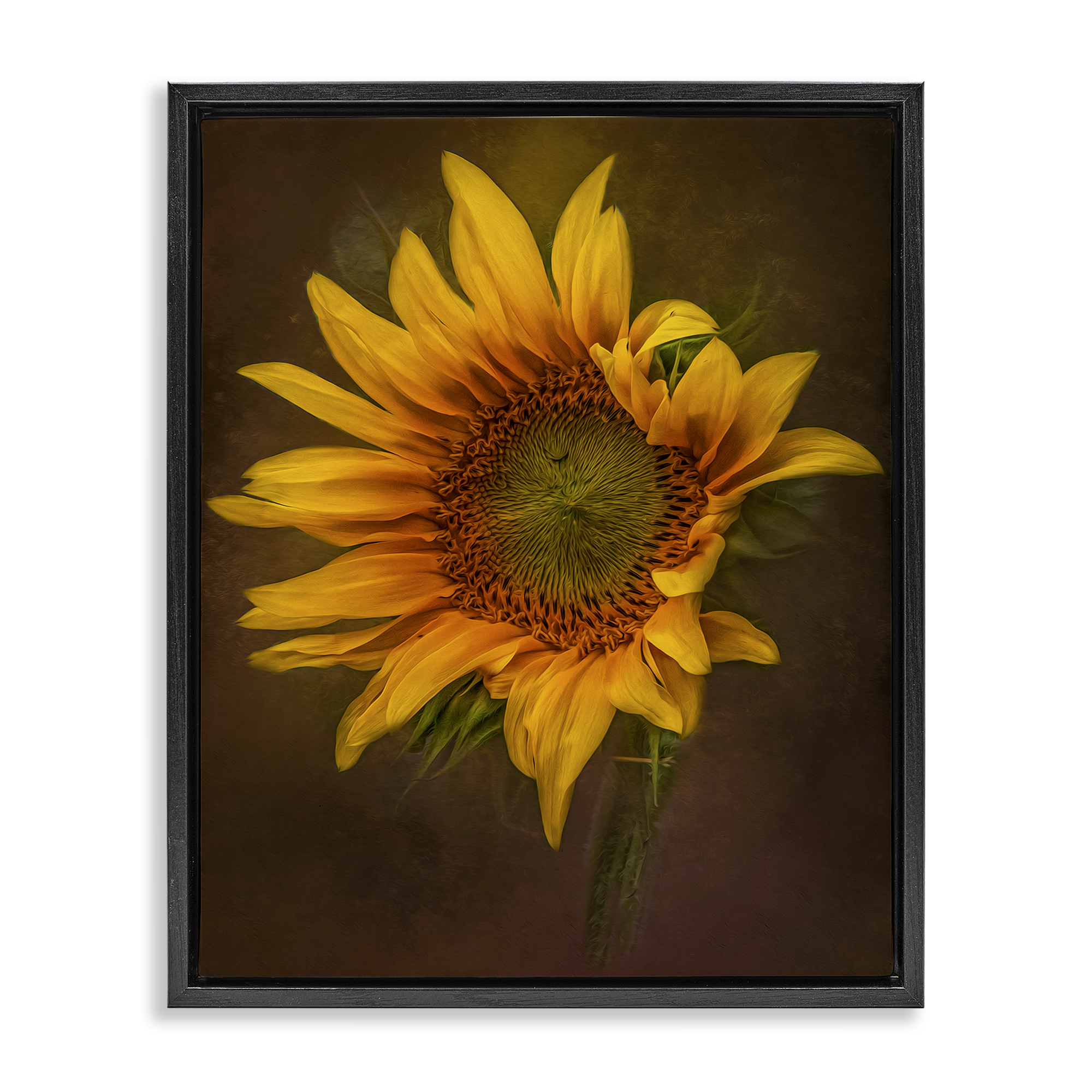 Stupell Industries Curling Petals Sunflower Plants & Flowers Painting Black Floater Framed Canvas Art Print Wall Art, 17 x 21