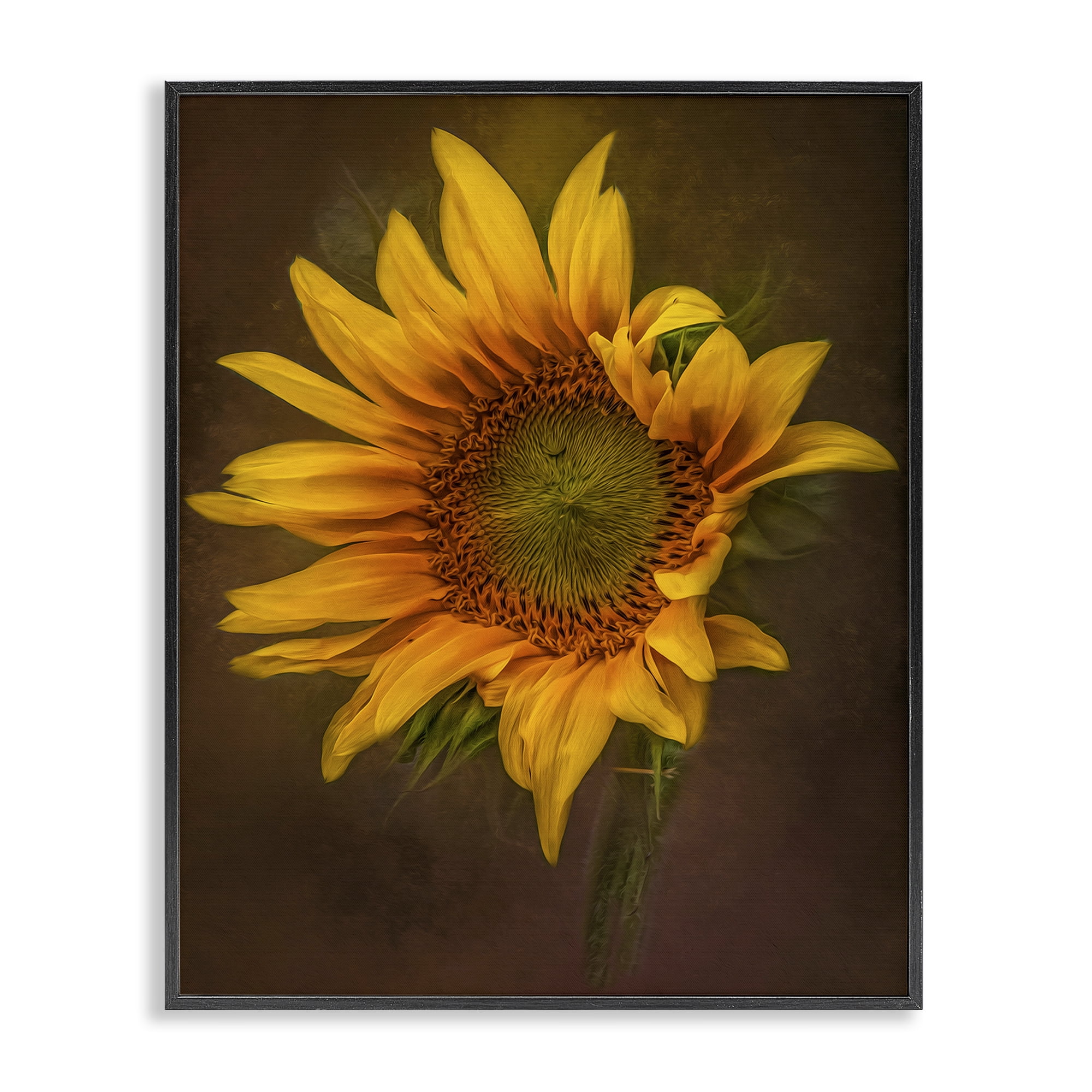 Stupell Industries Curling Petals Sunflower Plants & Flowers Painting Black Framed Art Print Wall Art, 16 x 20