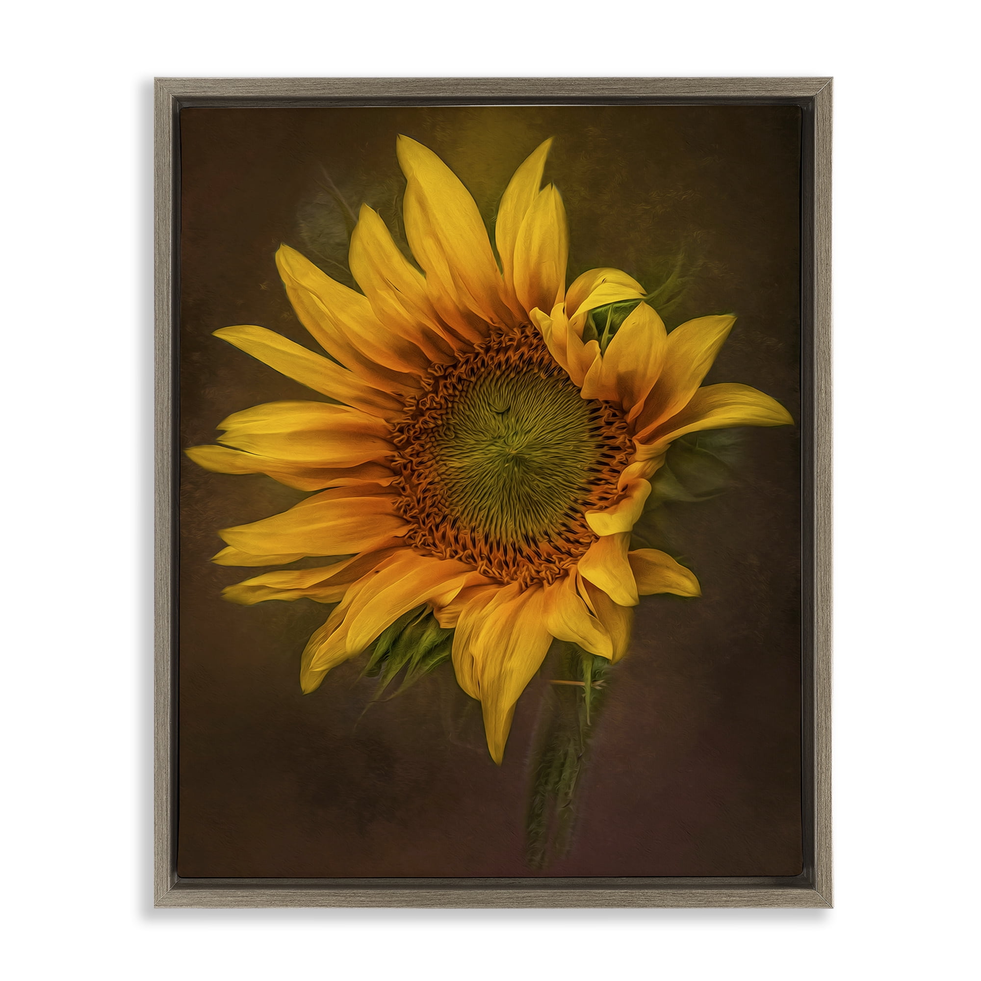 Stupell Industries Curling Petals Sunflower Plants & Flowers Painting Brown Floater Framed Canvas Art Print Wall Art, 25 x 31