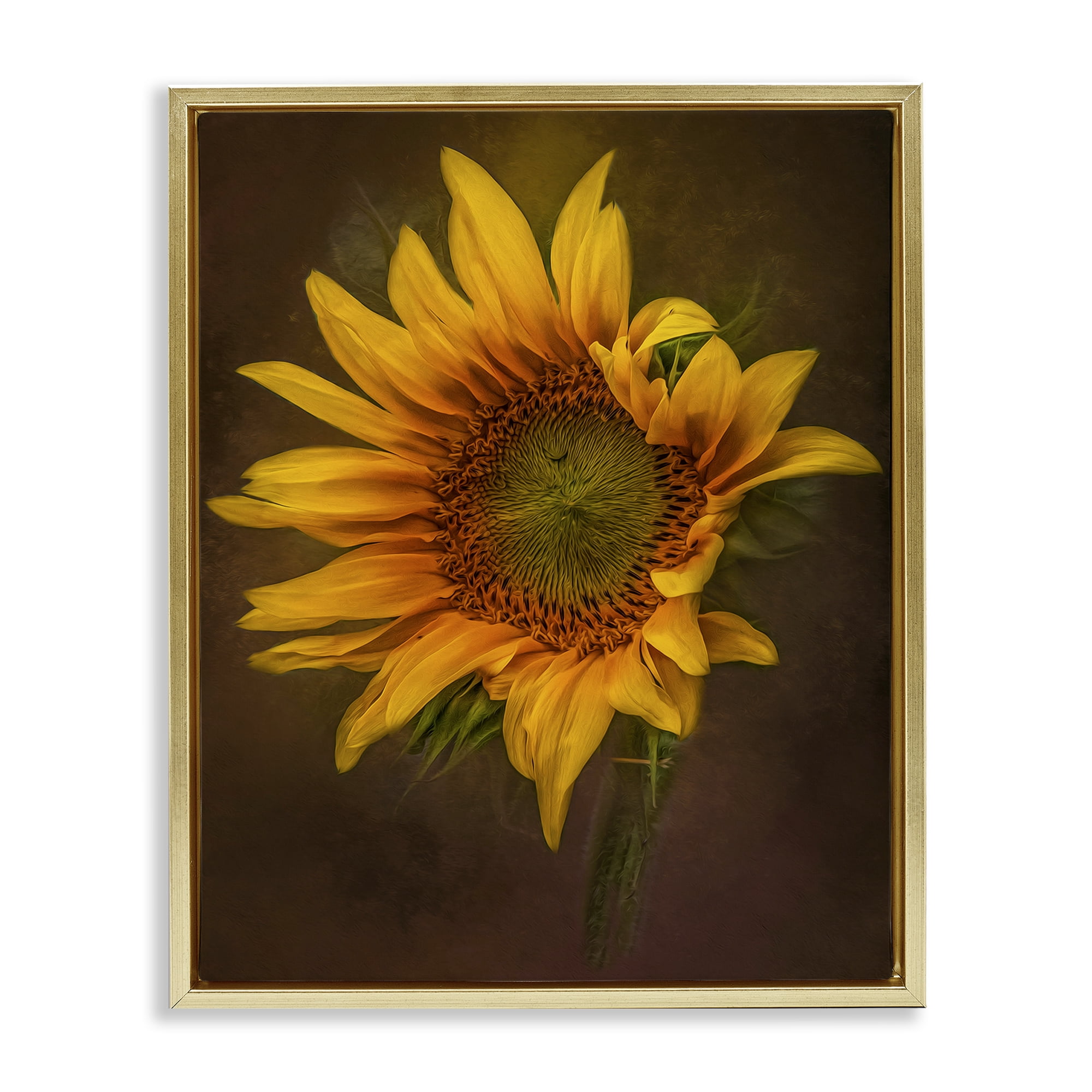 Stupell Industries Curling Petals Sunflower Plants & Flowers Painting Gold Floater Framed Canvas Art Print Wall Art, 25 x 31