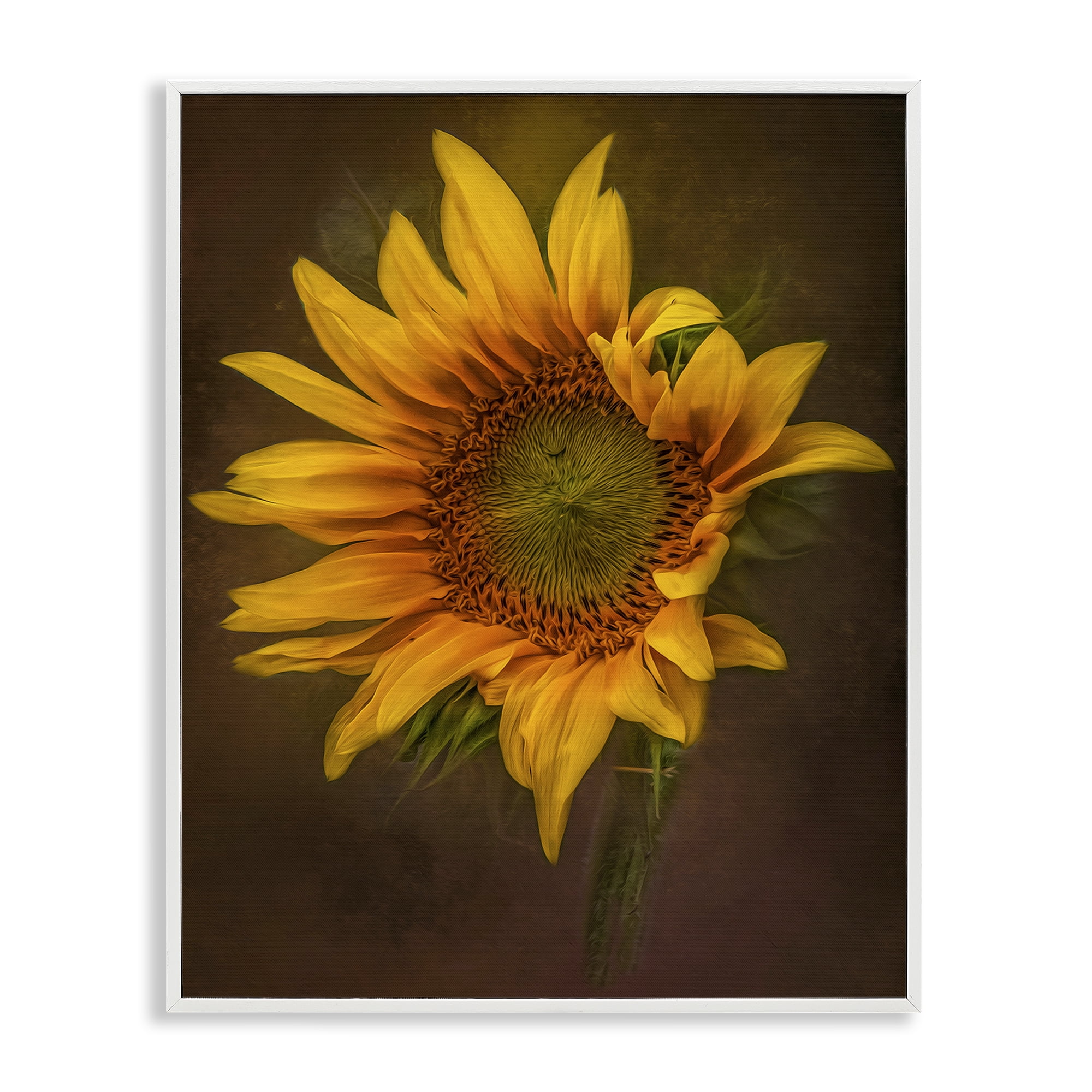 Stupell Industries Curling Petals Sunflower Plants & Flowers Painting White Framed Art Print Wall Art, 16 x 20