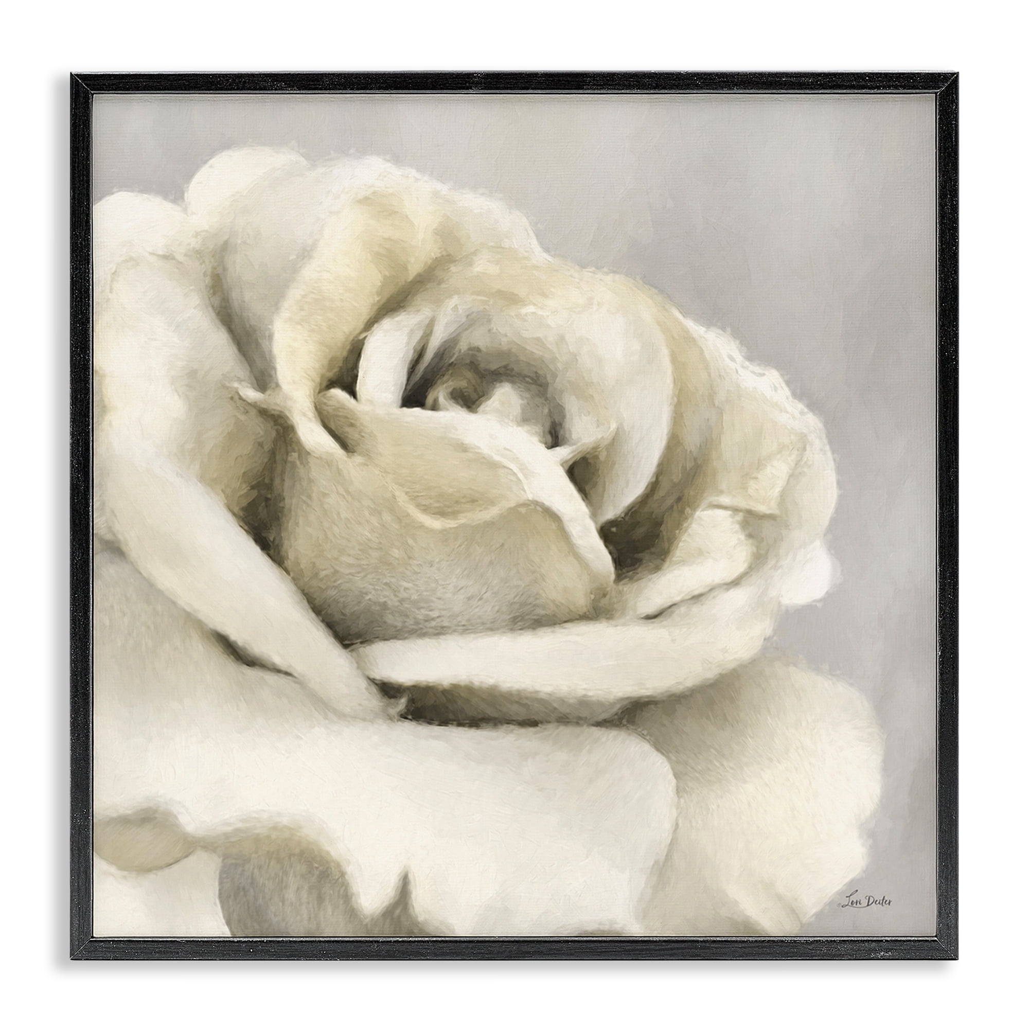 Stupell Industries Curling Rose Petals Botanical & Floral Painting Black Framed Art Print Wall Art, 12 x 12
