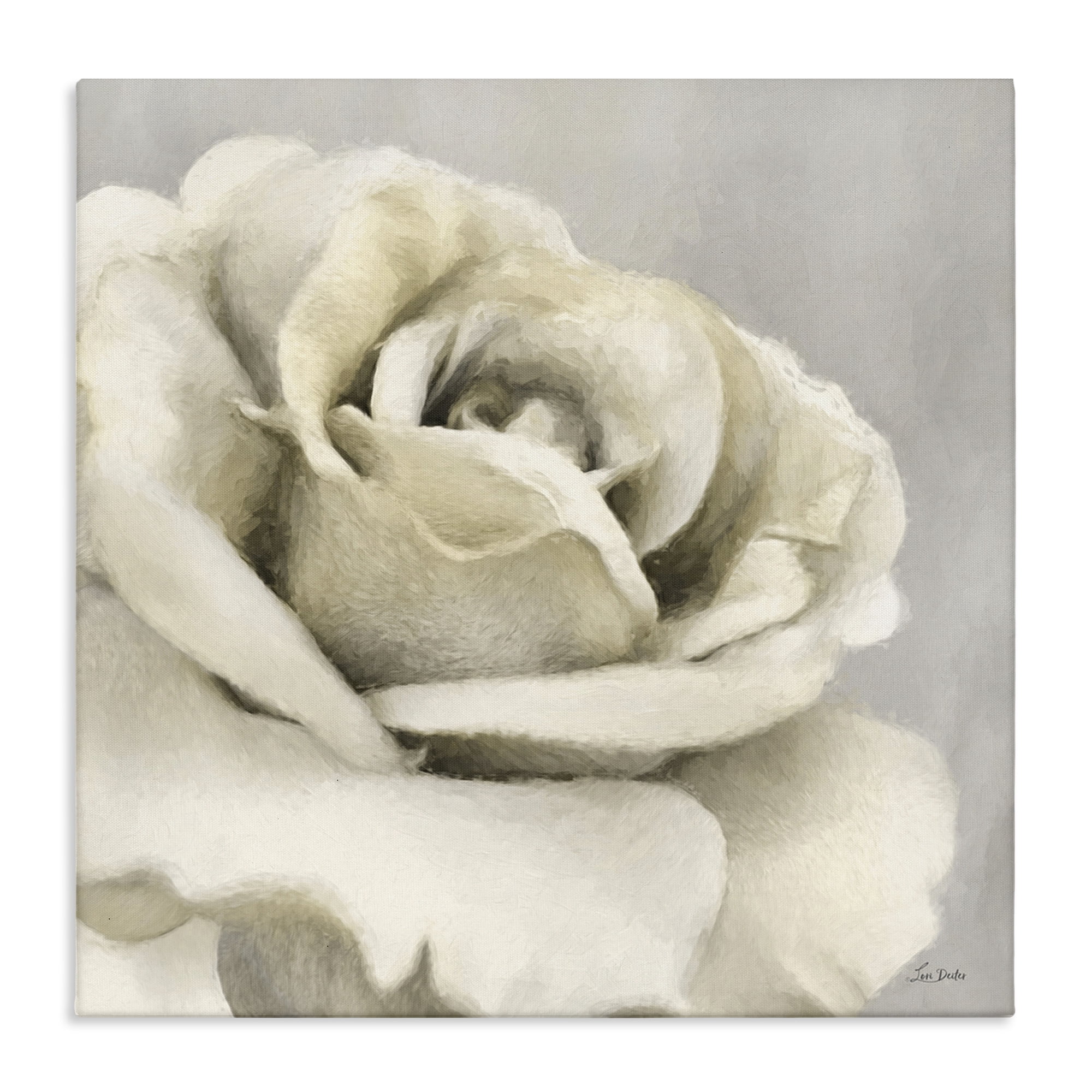 Stupell Industries Curling Rose Petals Botanical & Floral Painting Gallery Wrapped Canvas Art Print Wall Art, 36 x 36