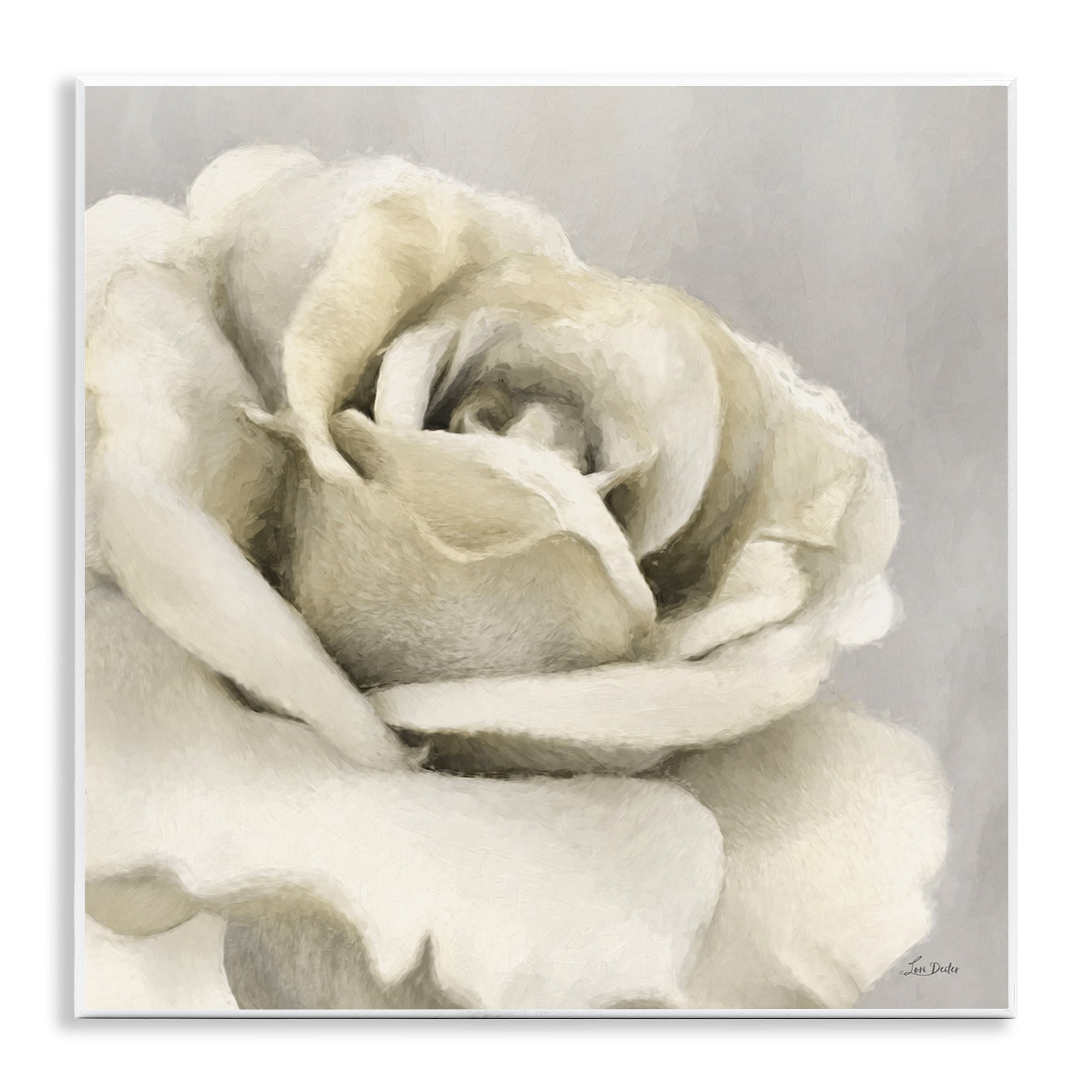 Stupell Industries Curling Rose Petals Botanical & Floral Painting Unframed Art Print Wall Art, 12 x 12
