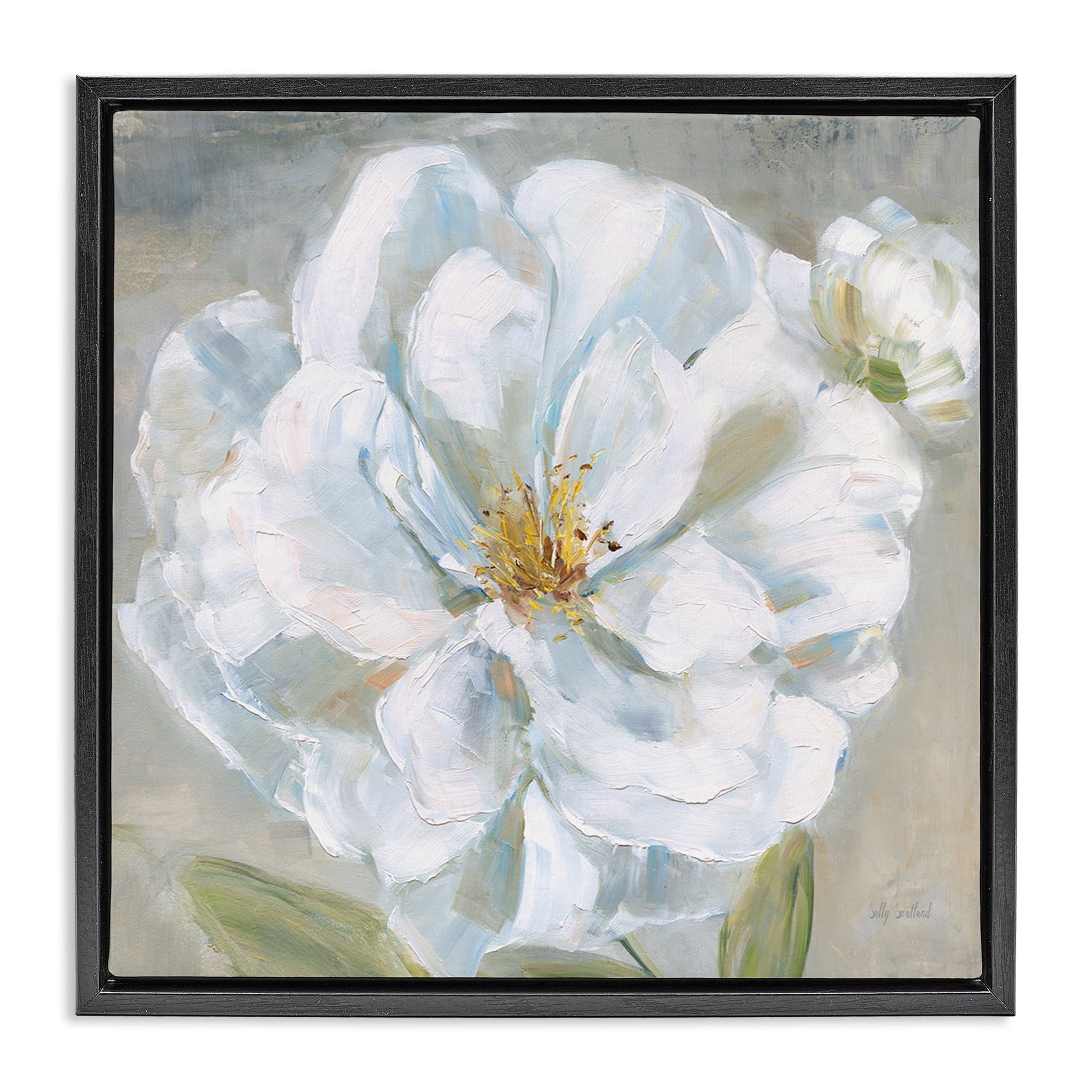 Stupell Industries Curling White Flower Petals Plants & Flowers Painting Black Floater Framed Canvas Art Print Wall Art, 25 x 25