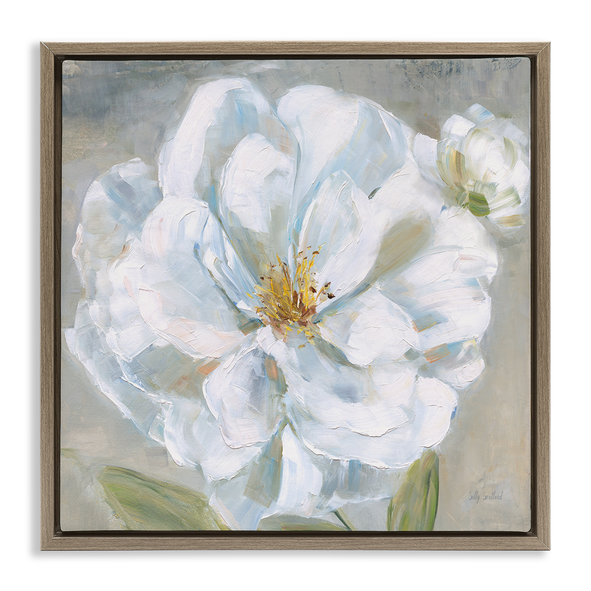 Stupell Industries Curling White Flower Petals Plants & Flowers Painting Brown Floater Framed Canvas Art Print Wall Art, 25 x 25