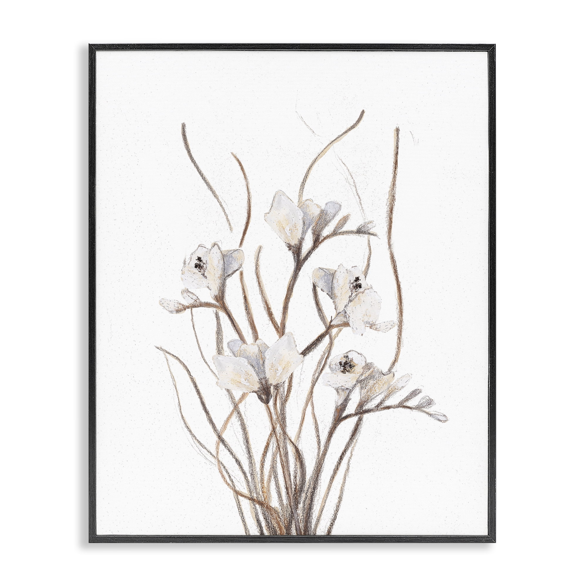 Stupell Industries Curly Branches on White Black Framed Giclee Art, design by Lanie Loreth